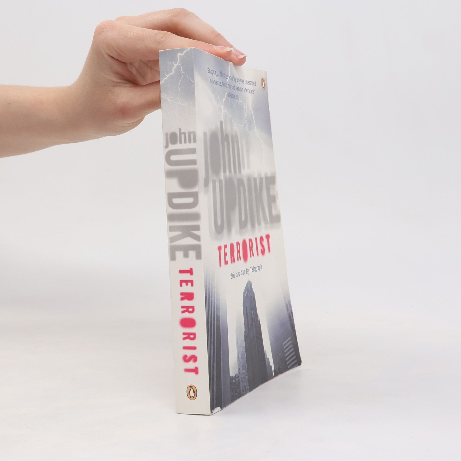 John Updike Terrorist
