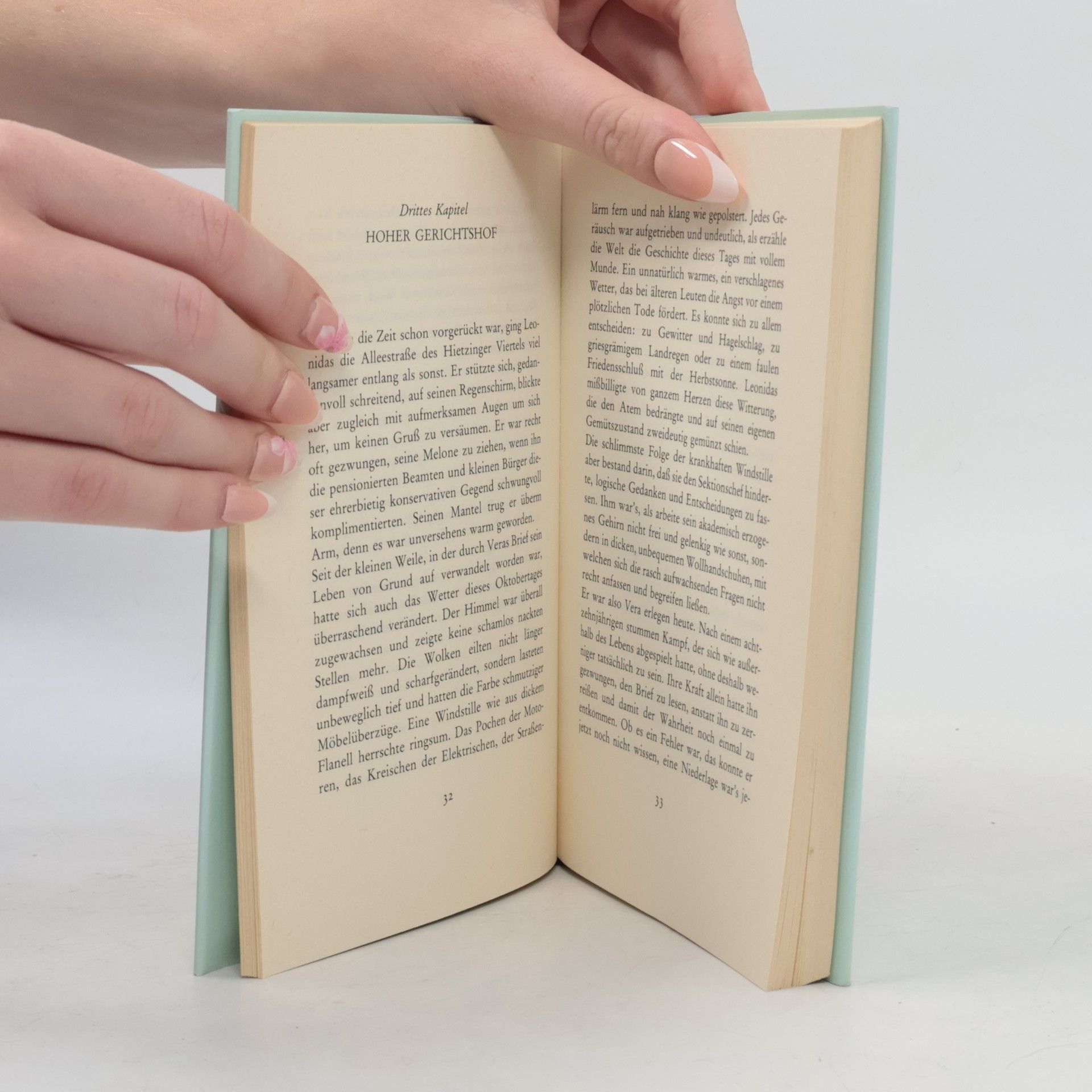 Franz Werfel Eine blassblaue Frauenschrift
