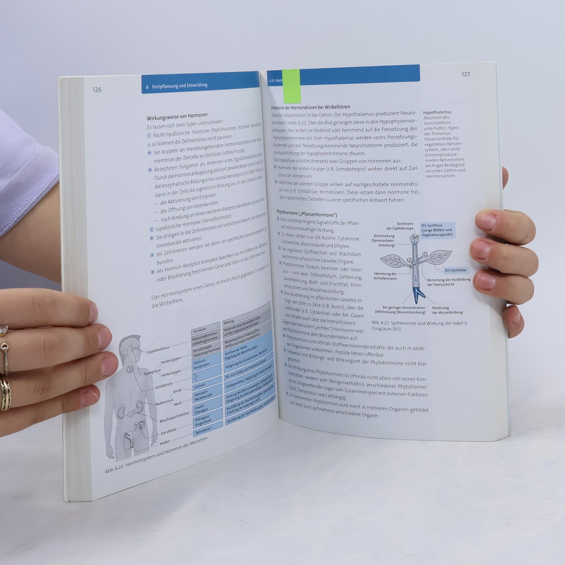 Michel Walory Fit fürs Abi. Biologie Oberstufenwissen