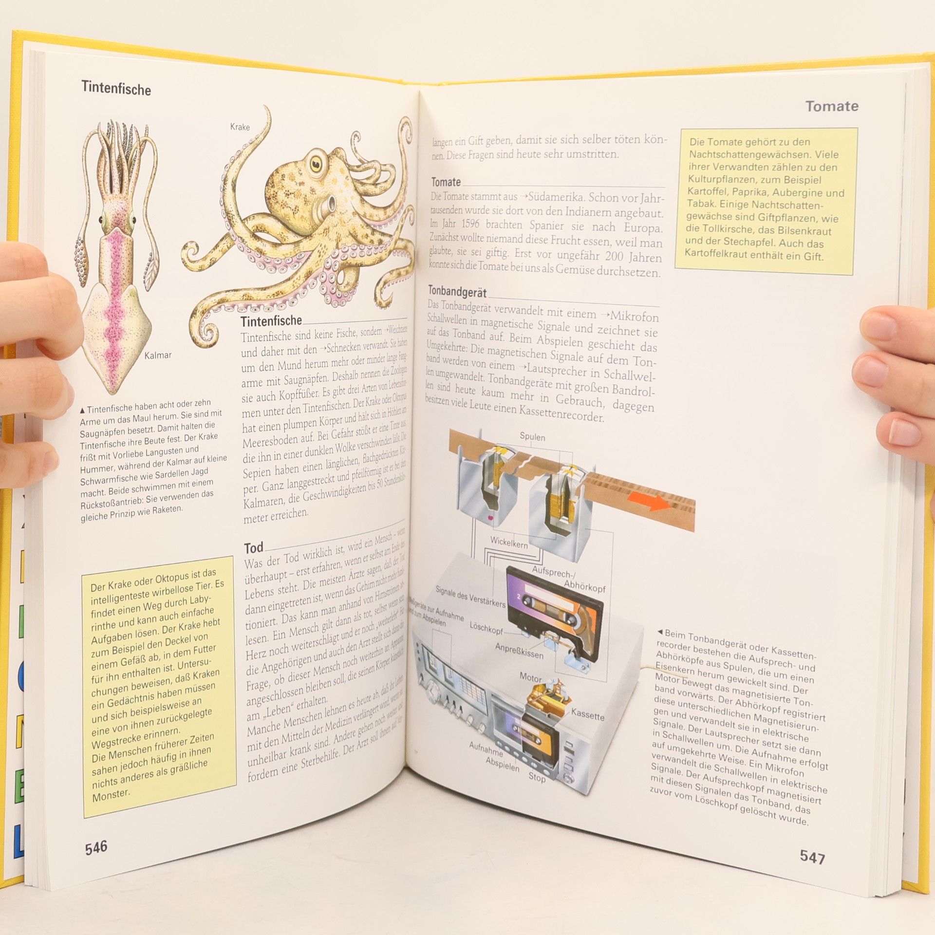 Autorenkollektiv Der Kinder-Brockhaus 1-4