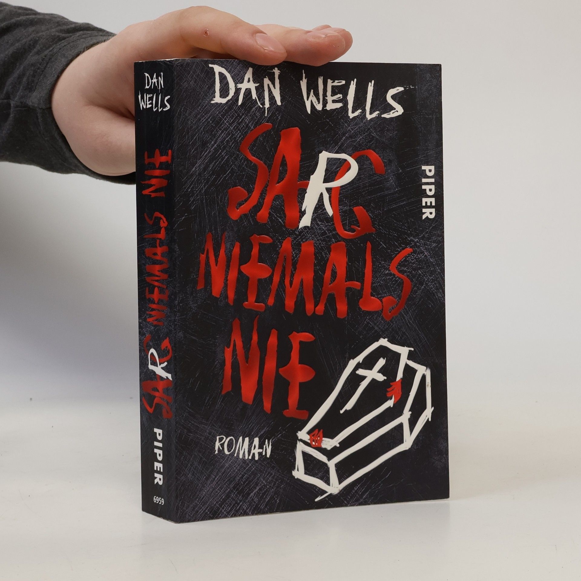Dan Wells Sarg niemals nie