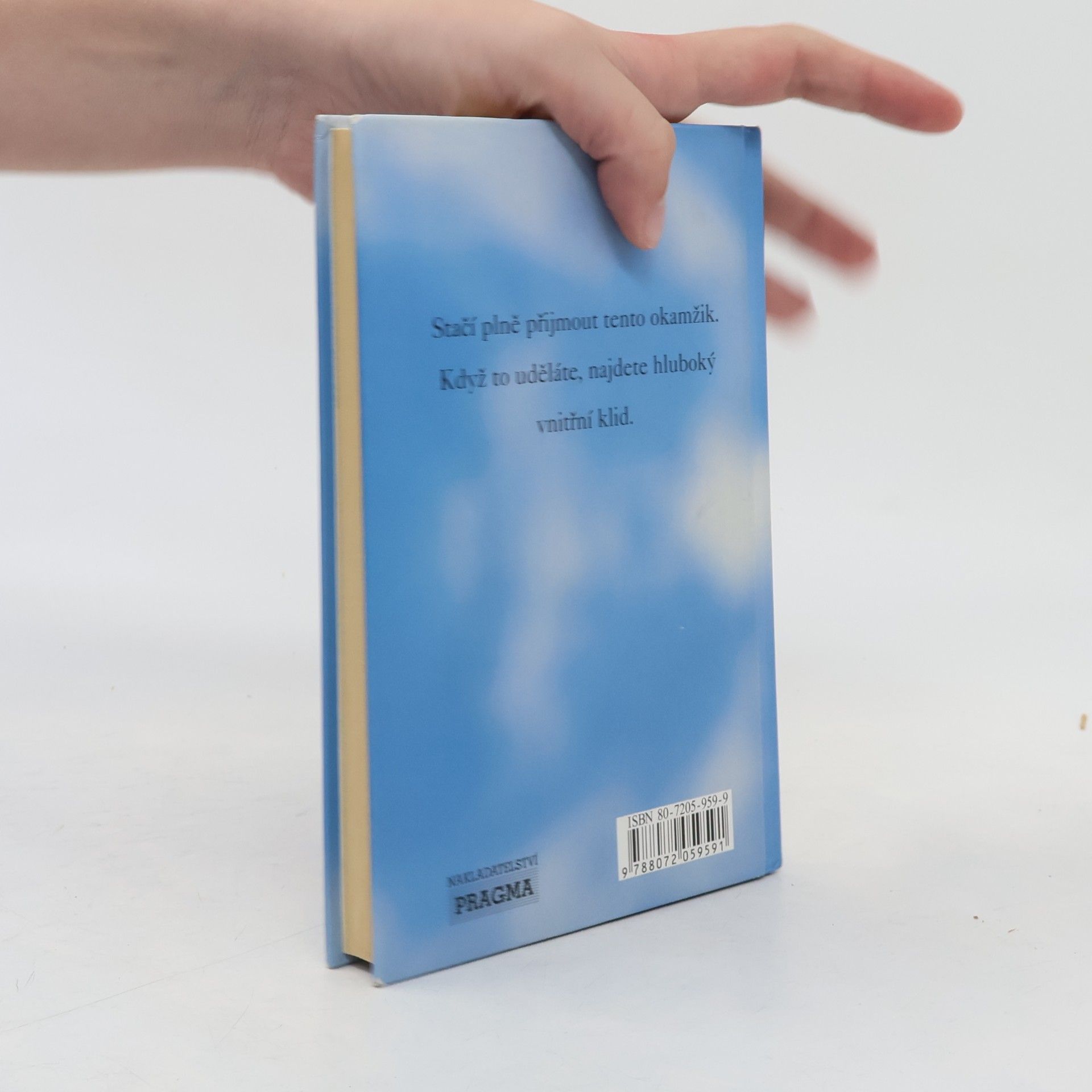 Eckhart Tolle Moc přítomného okamžiku. Pracovní kniha