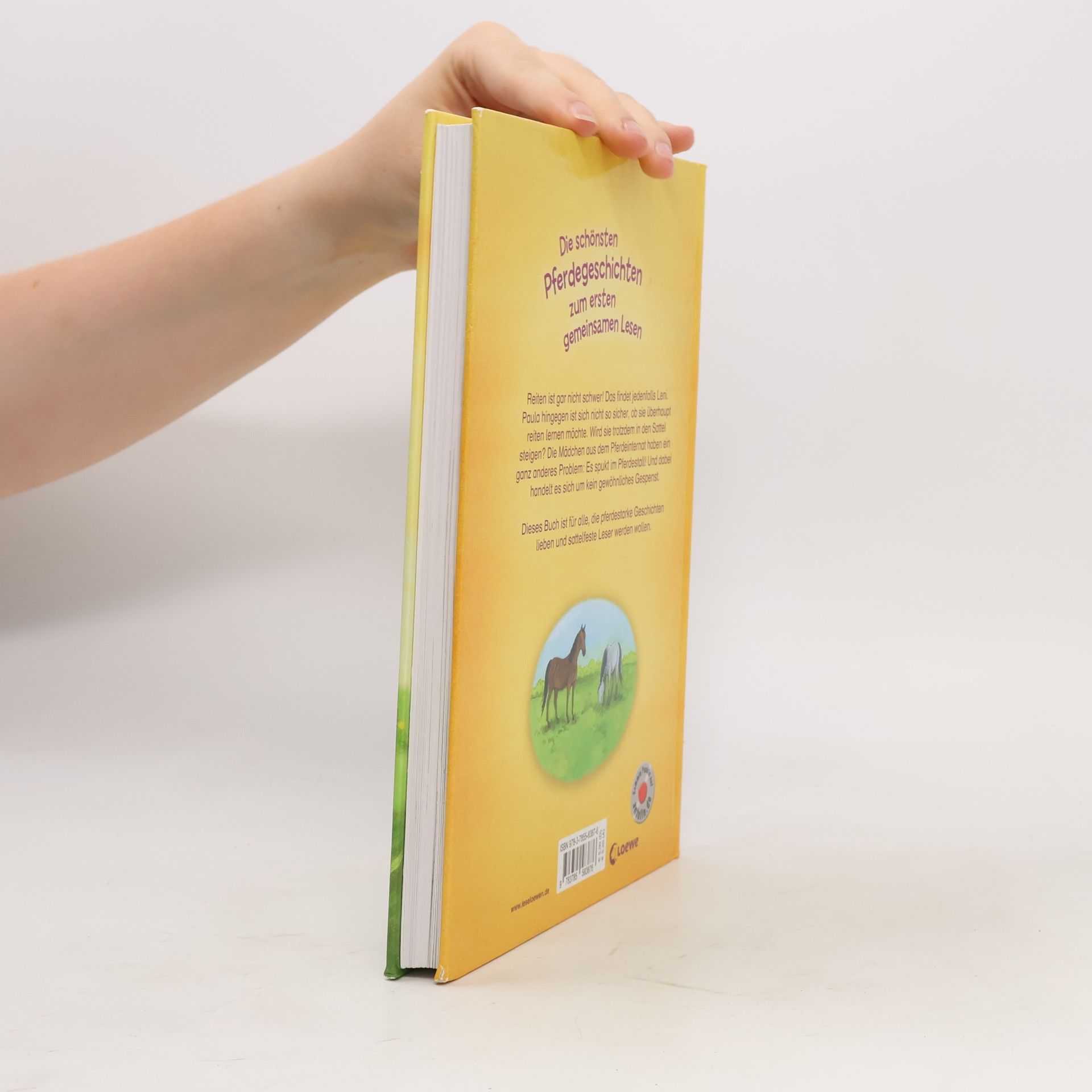 Die schönsten Pferdegeschichten zum ersten gemeinsamen Lesen