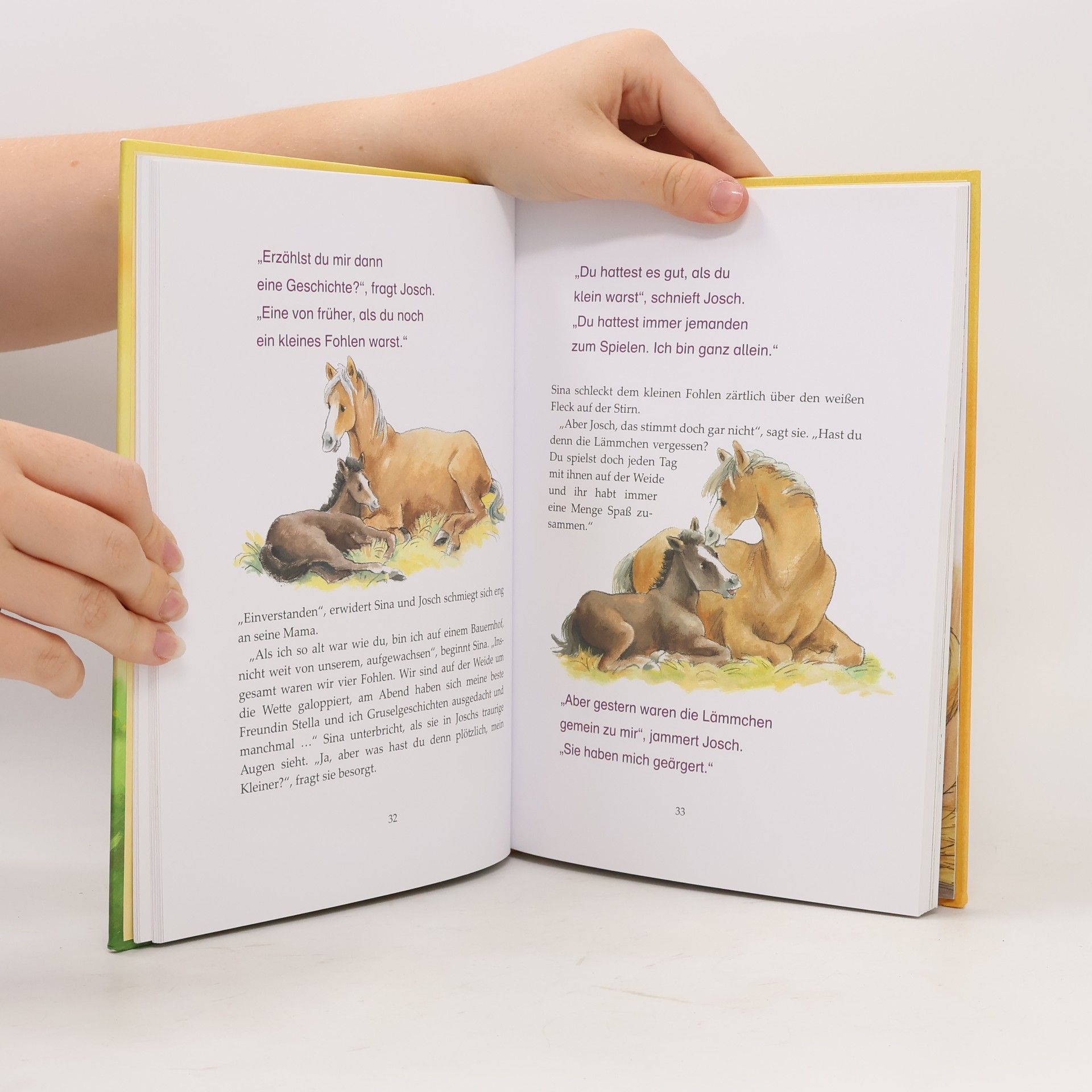 Die schönsten Pferdegeschichten zum ersten gemeinsamen Lesen