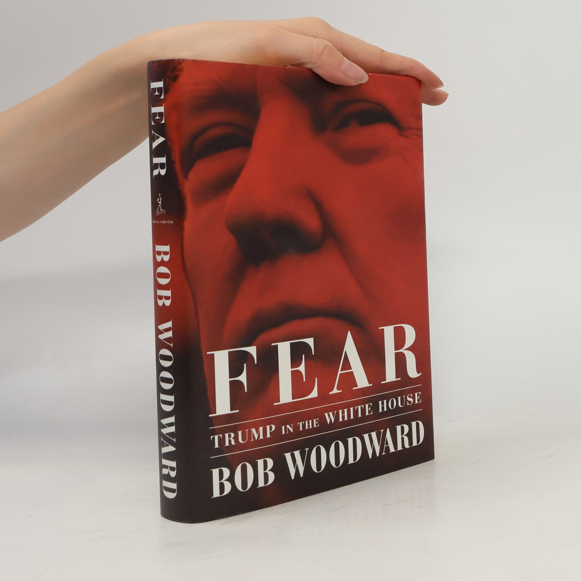 Fear. Trump in the White House