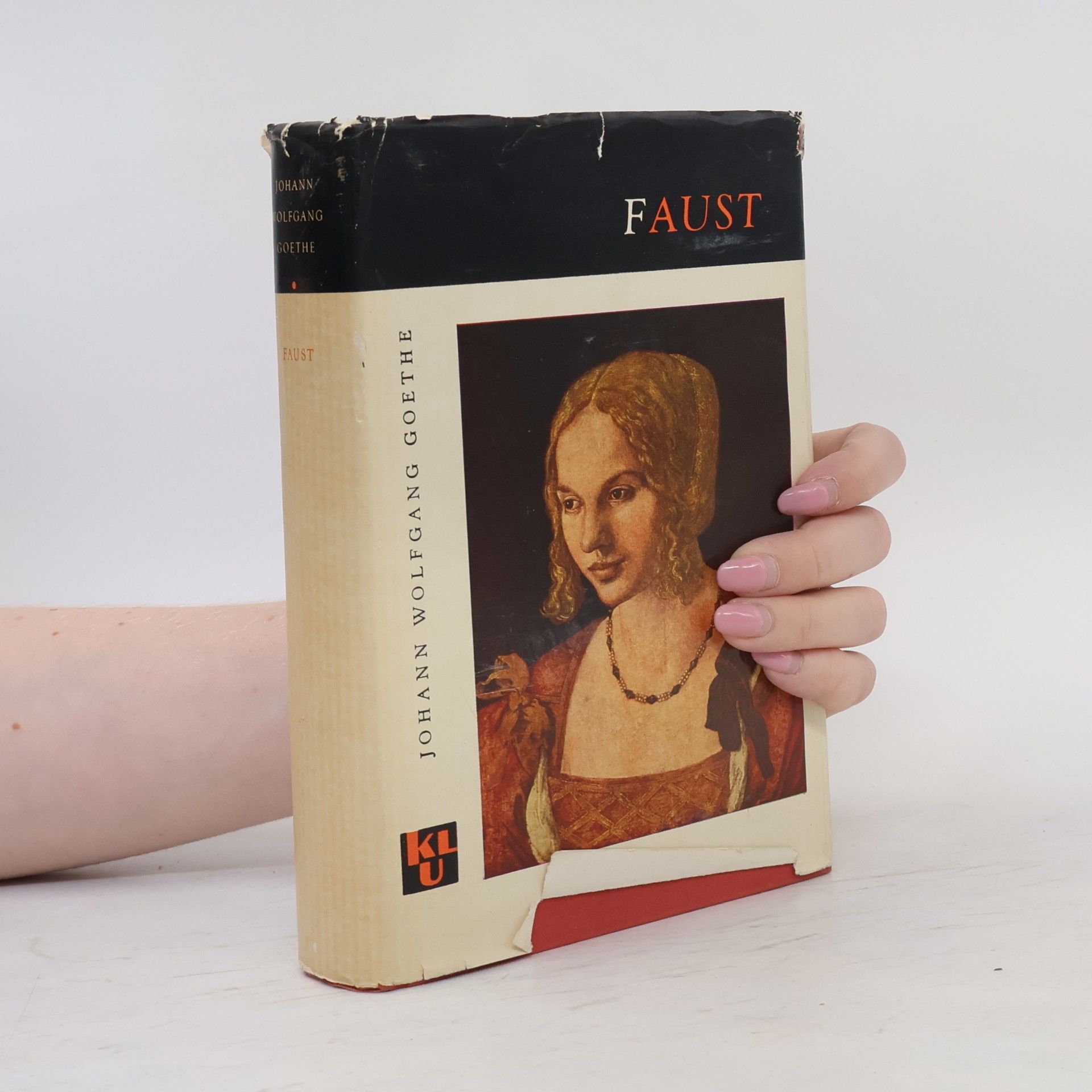 Johann Wolfgang von Goethe Faust