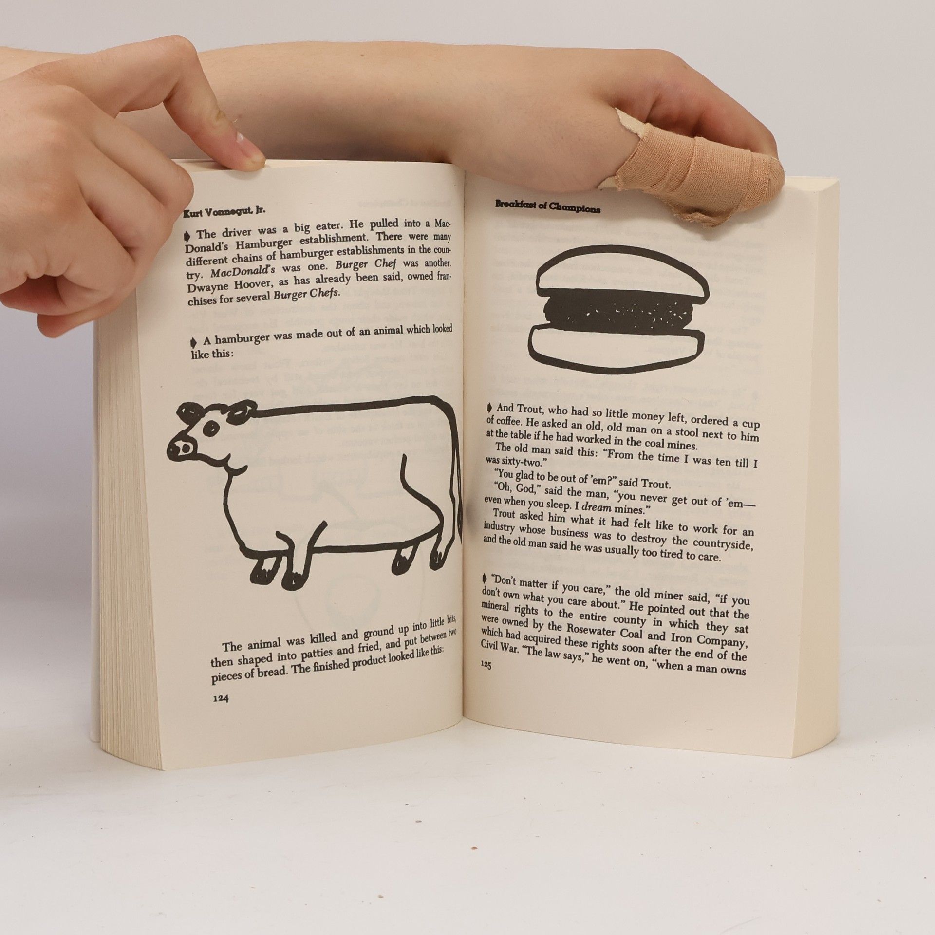 Kurt Vonnegut Breakfast of Champions
