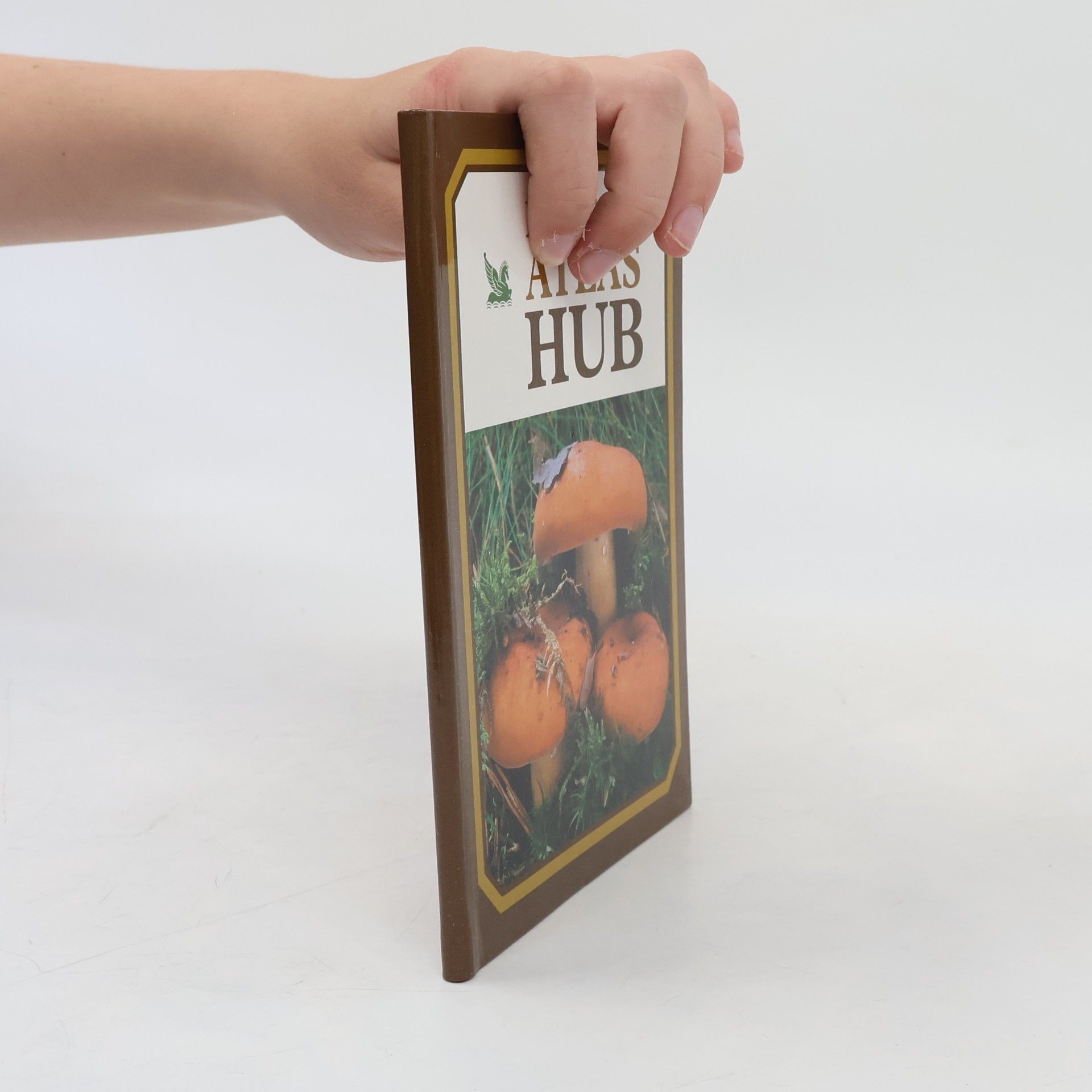kolektiv Atlas hub