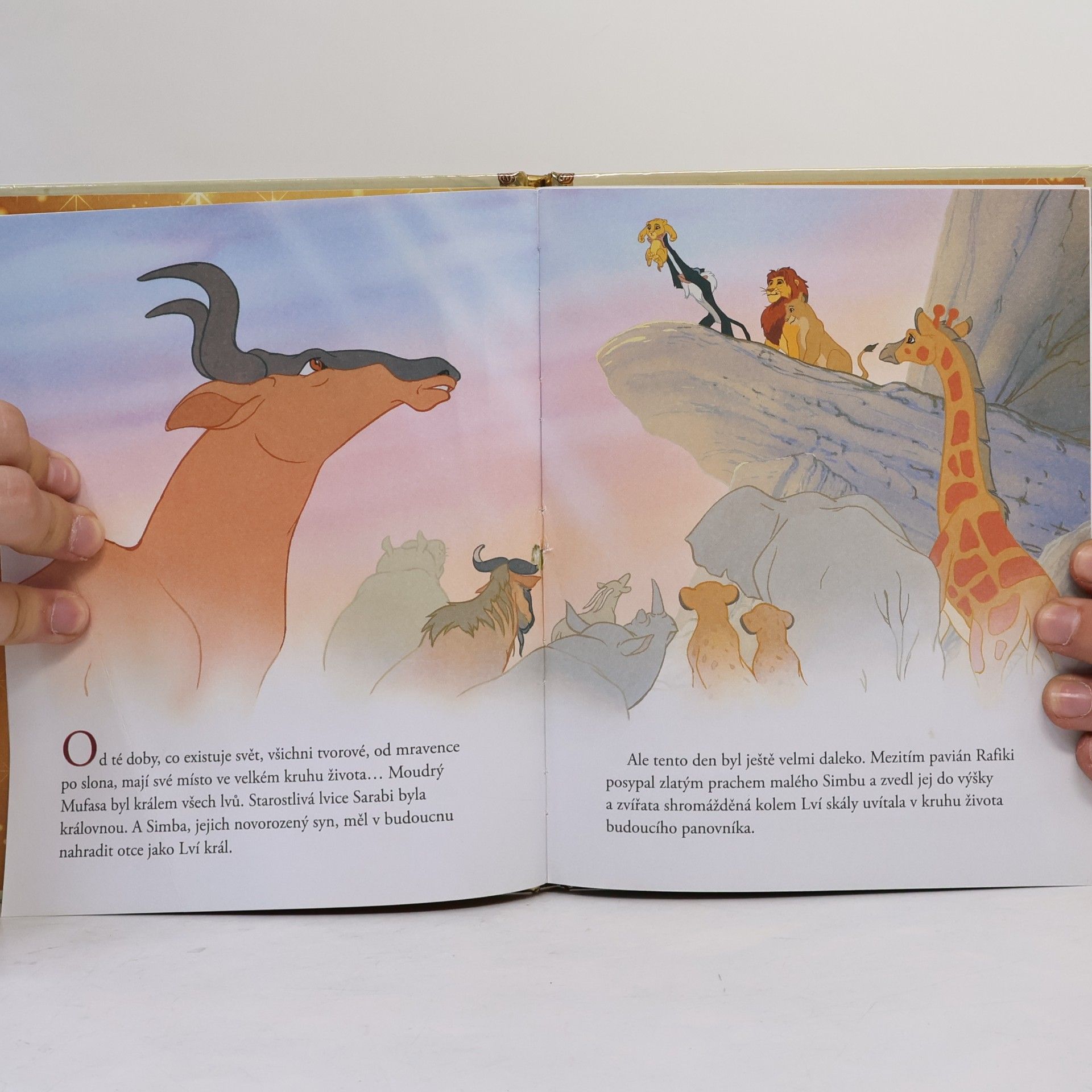 Autorenkollektiv Zlatá sbírka pohádek 1. Lví král