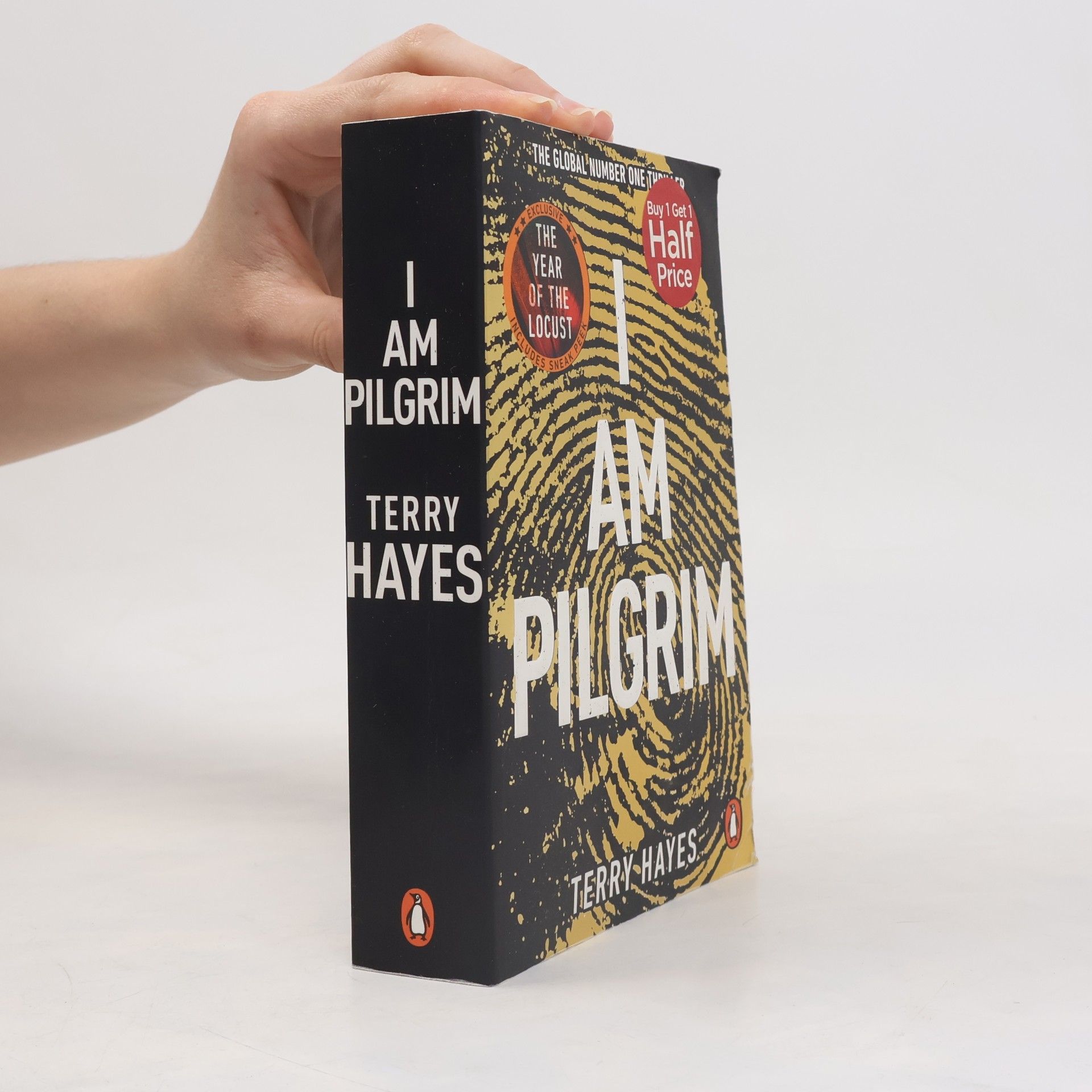 Terry Hayes I am pilgrim