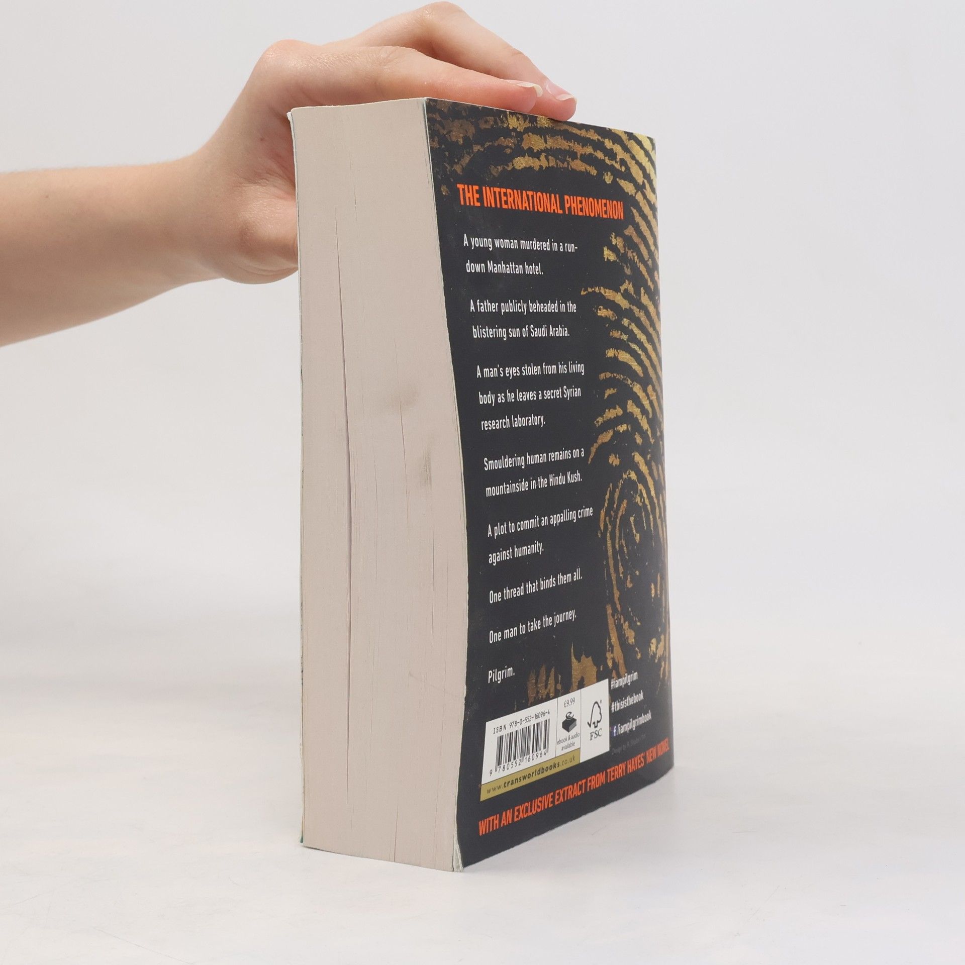 Terry Hayes I am pilgrim