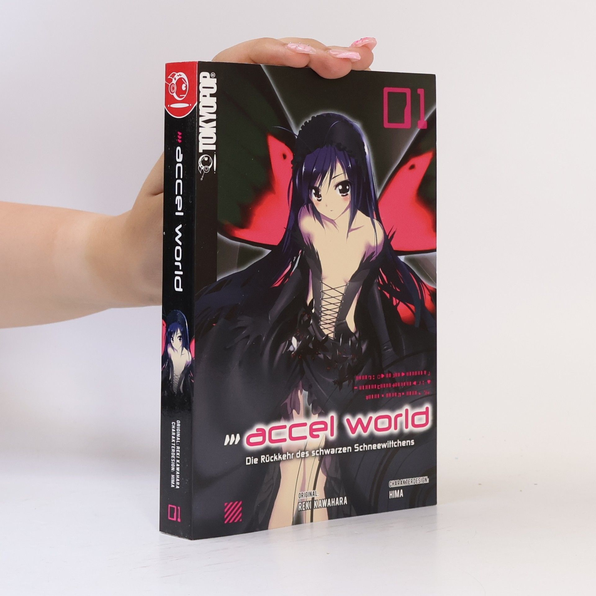 Reki Kawahara Accel world