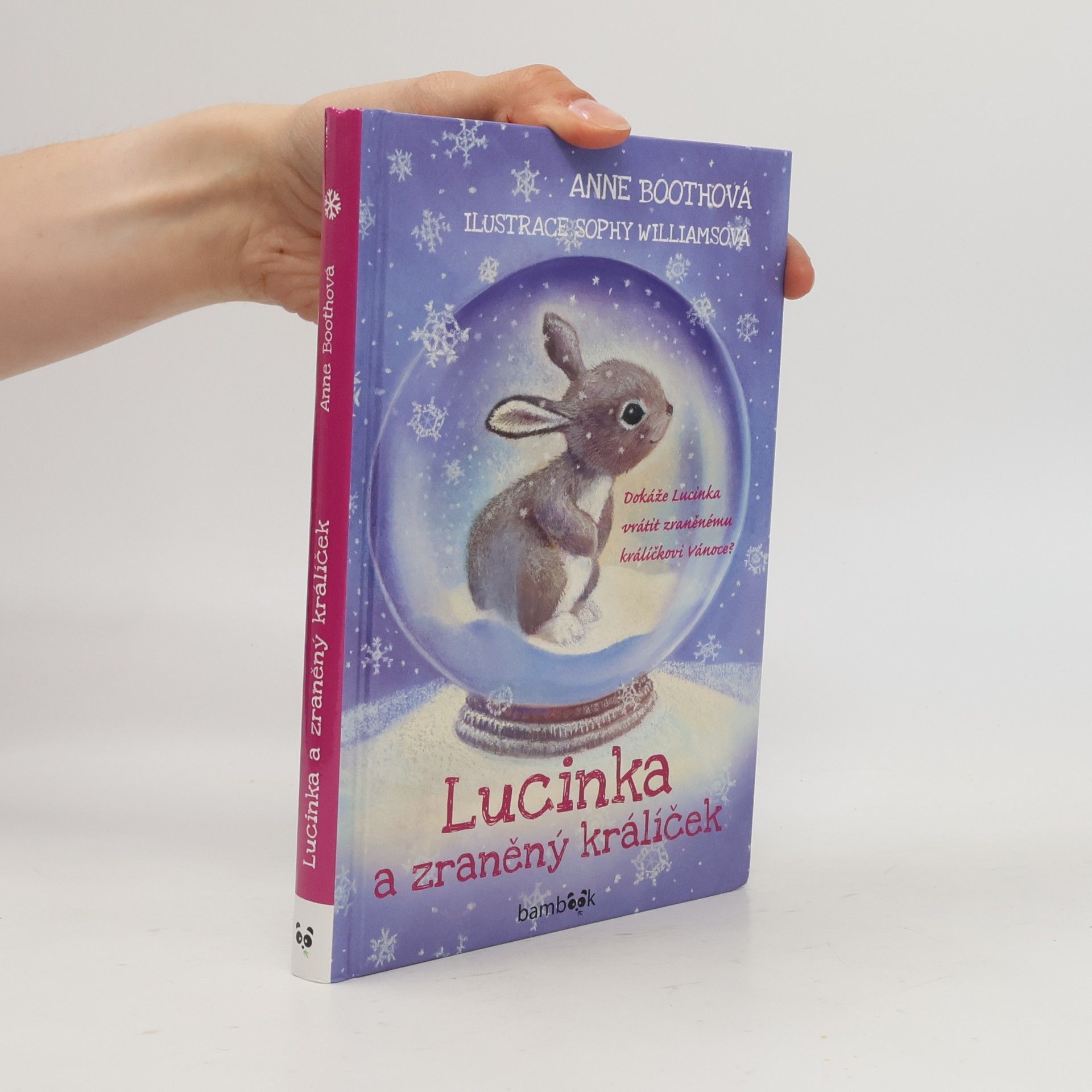 Anne Booth Lucinka a zraněný králíček
