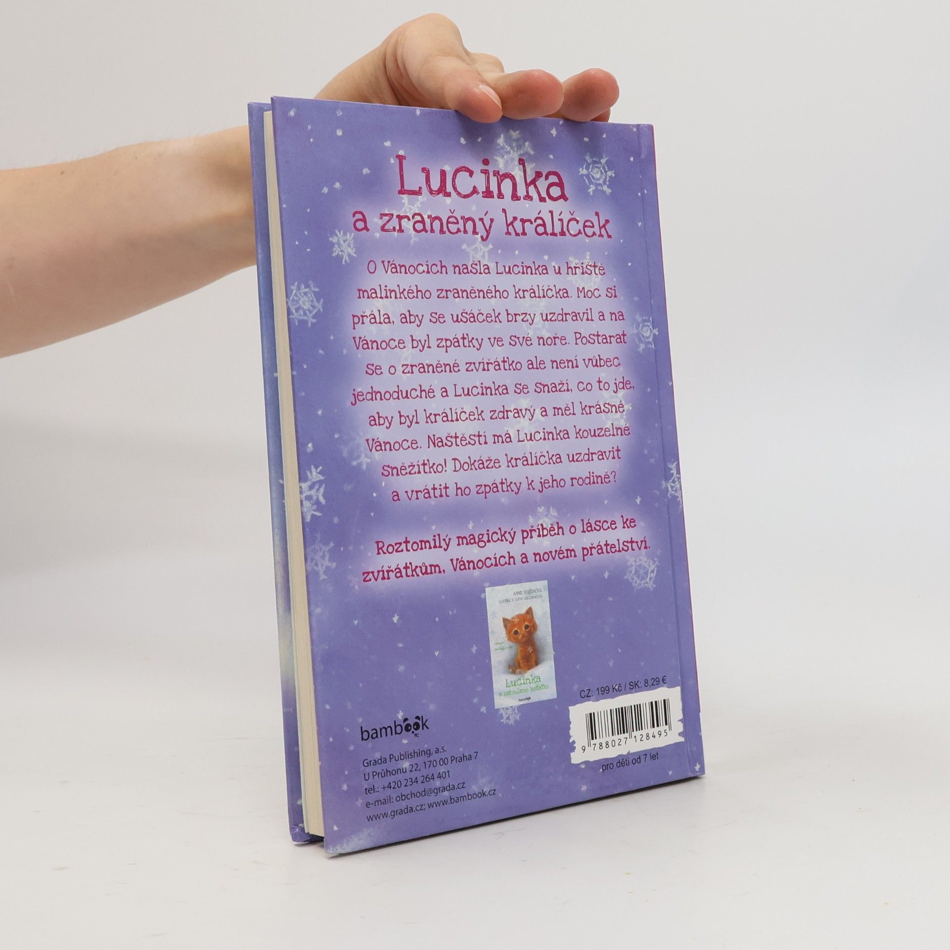 Anne Booth Lucinka a zraněný králíček
