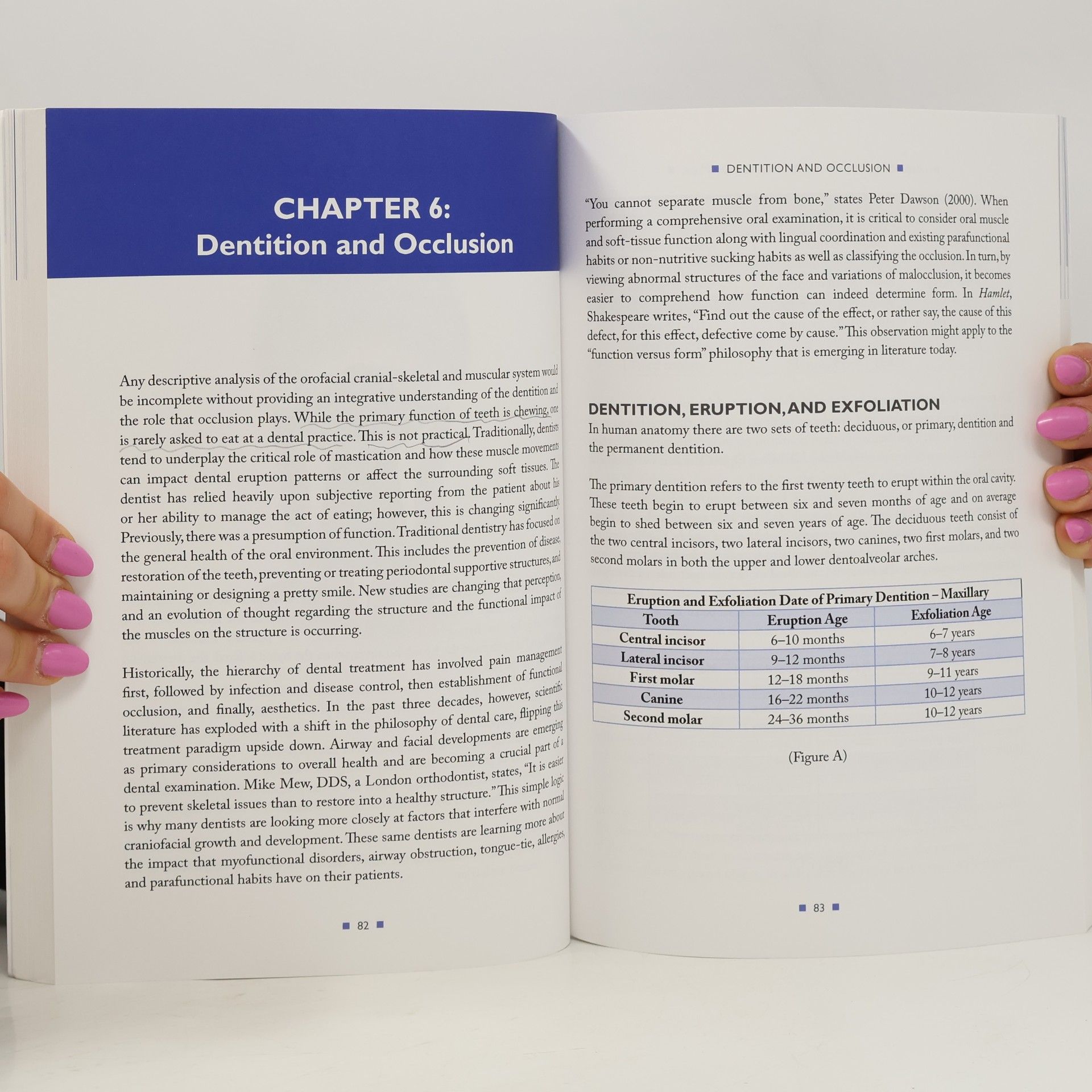 Kristie K Gatto Understanding the Orofacial Complex