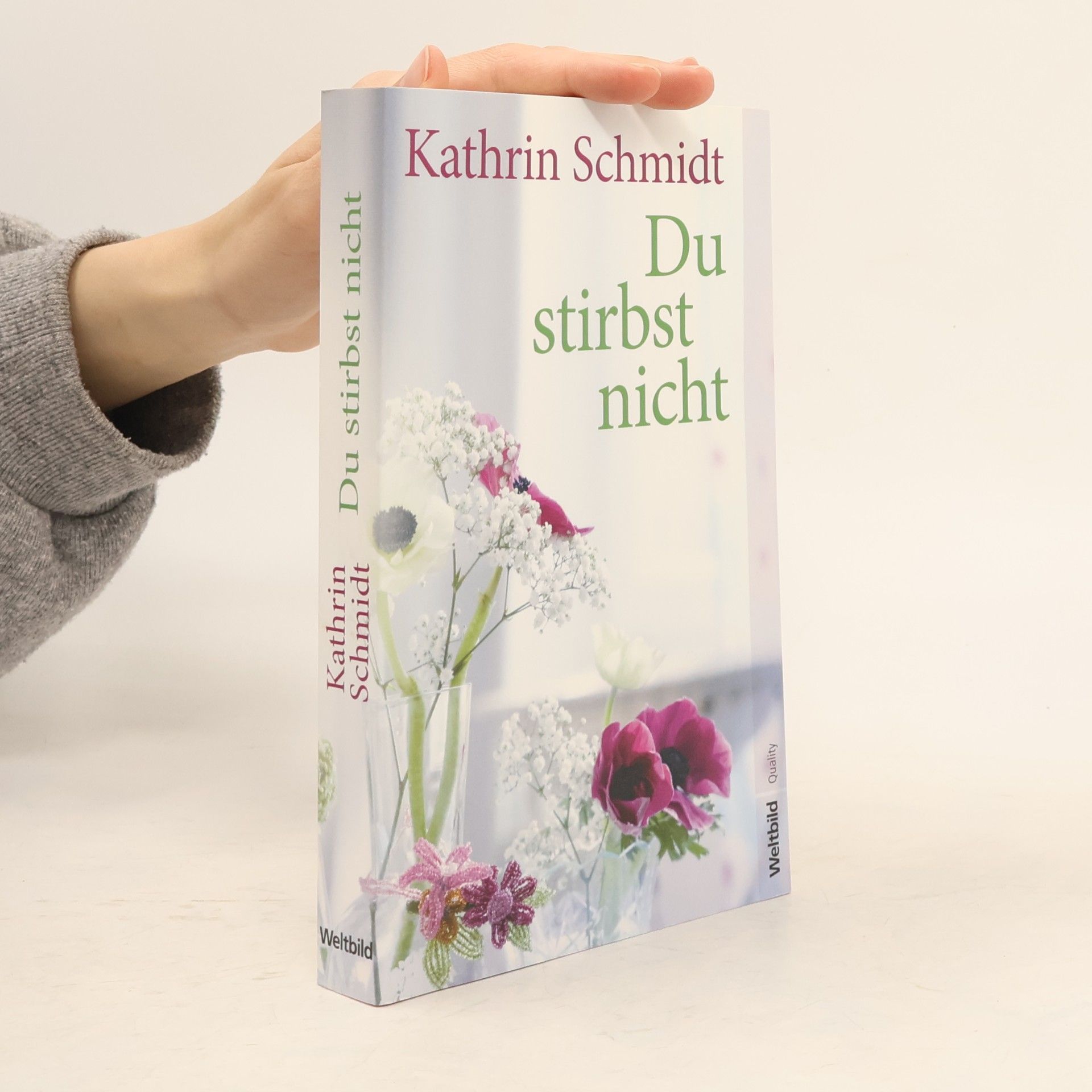 Kathrin Schmidt Du stirbst nicht