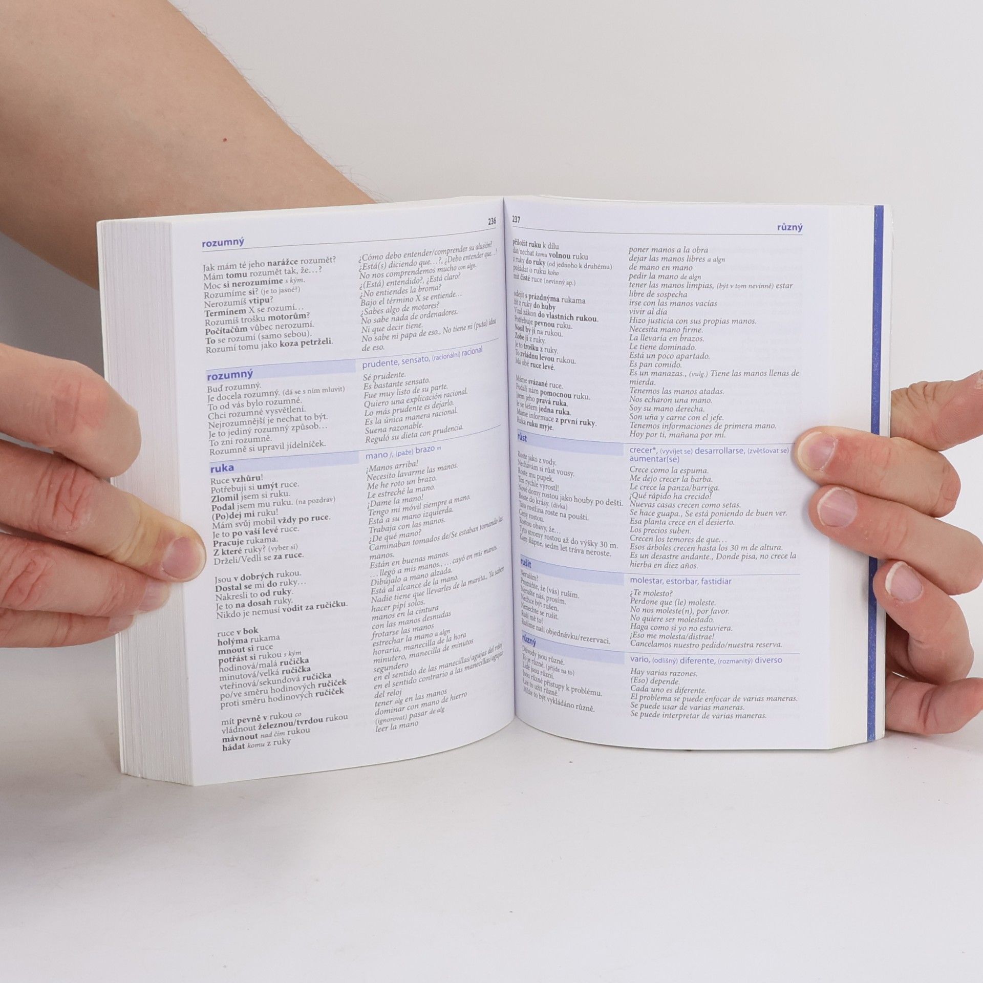 Autorenkollektiv Česko-španělský mluvník