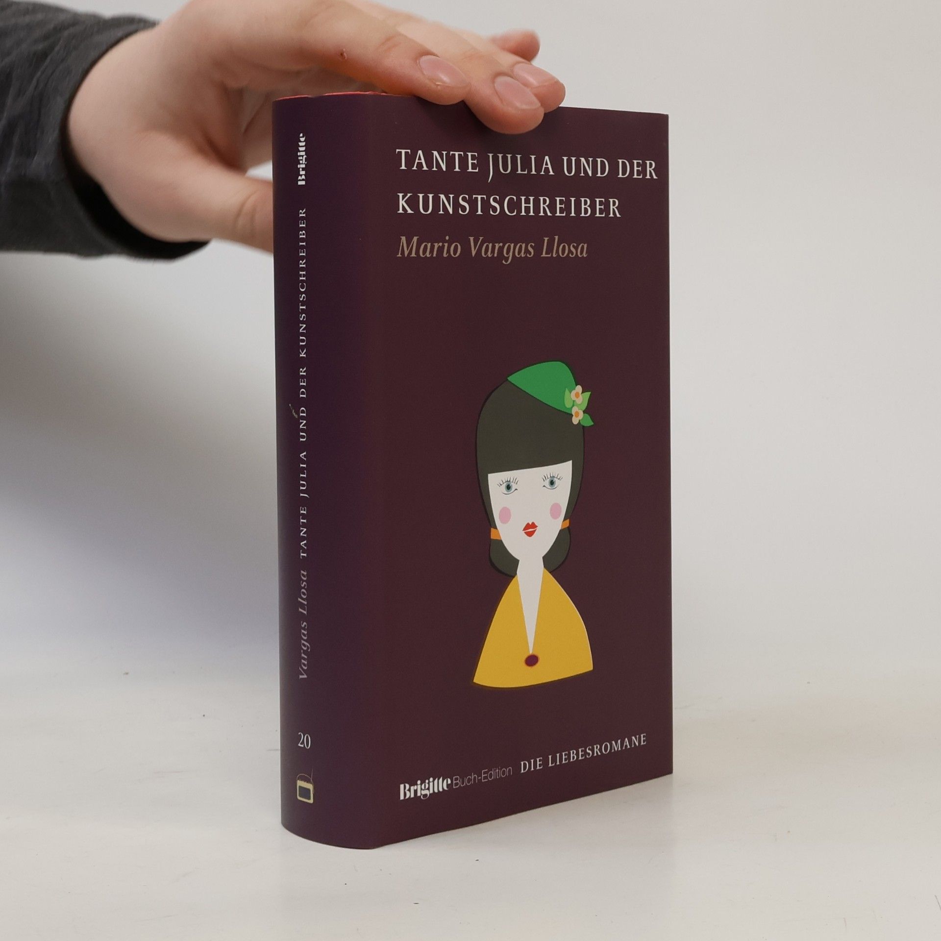 Mario Vargas Llosa Tante Julia und der Kunstschreiber