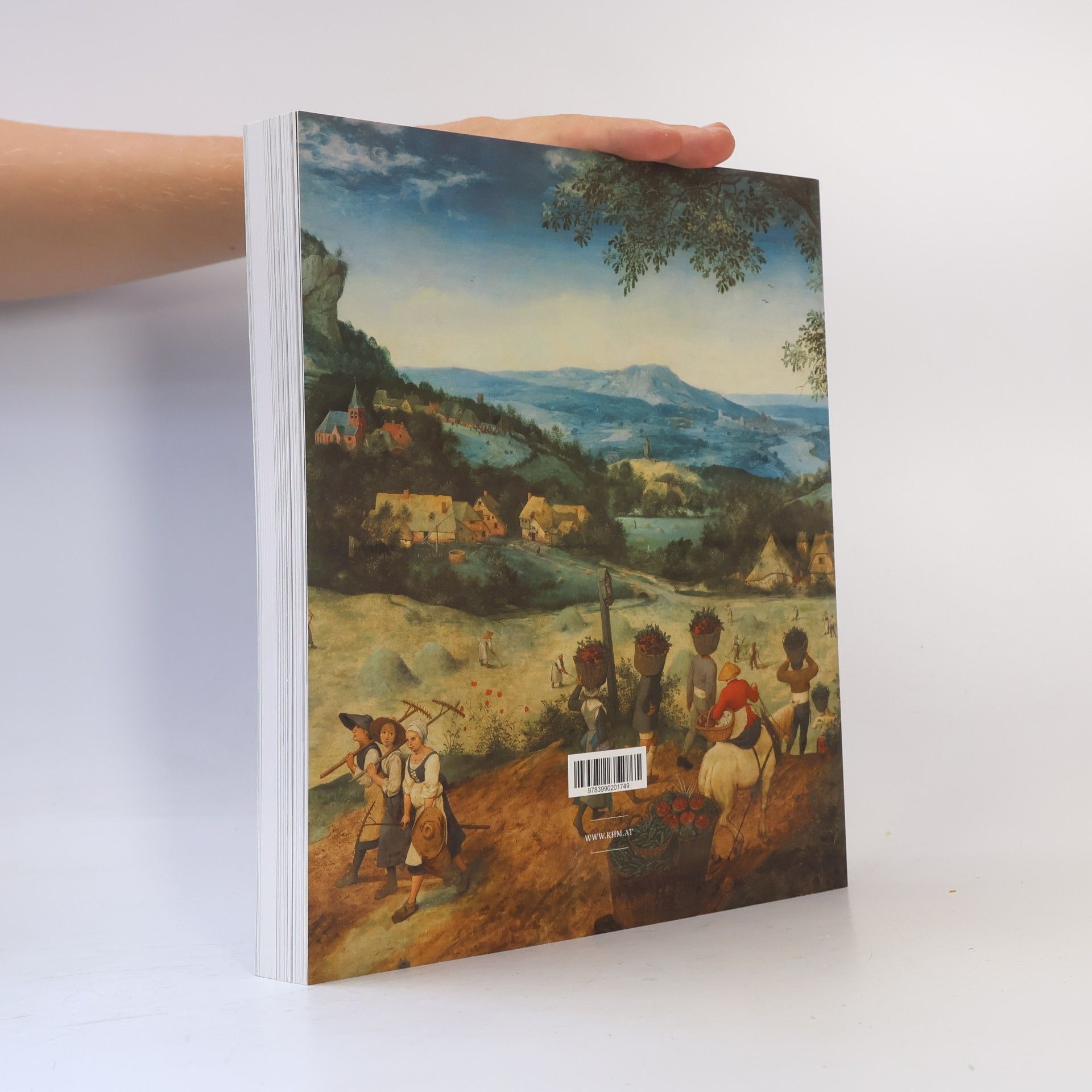 Pieter Bruegel der Ältere Bruegel - die Hand des Meisters