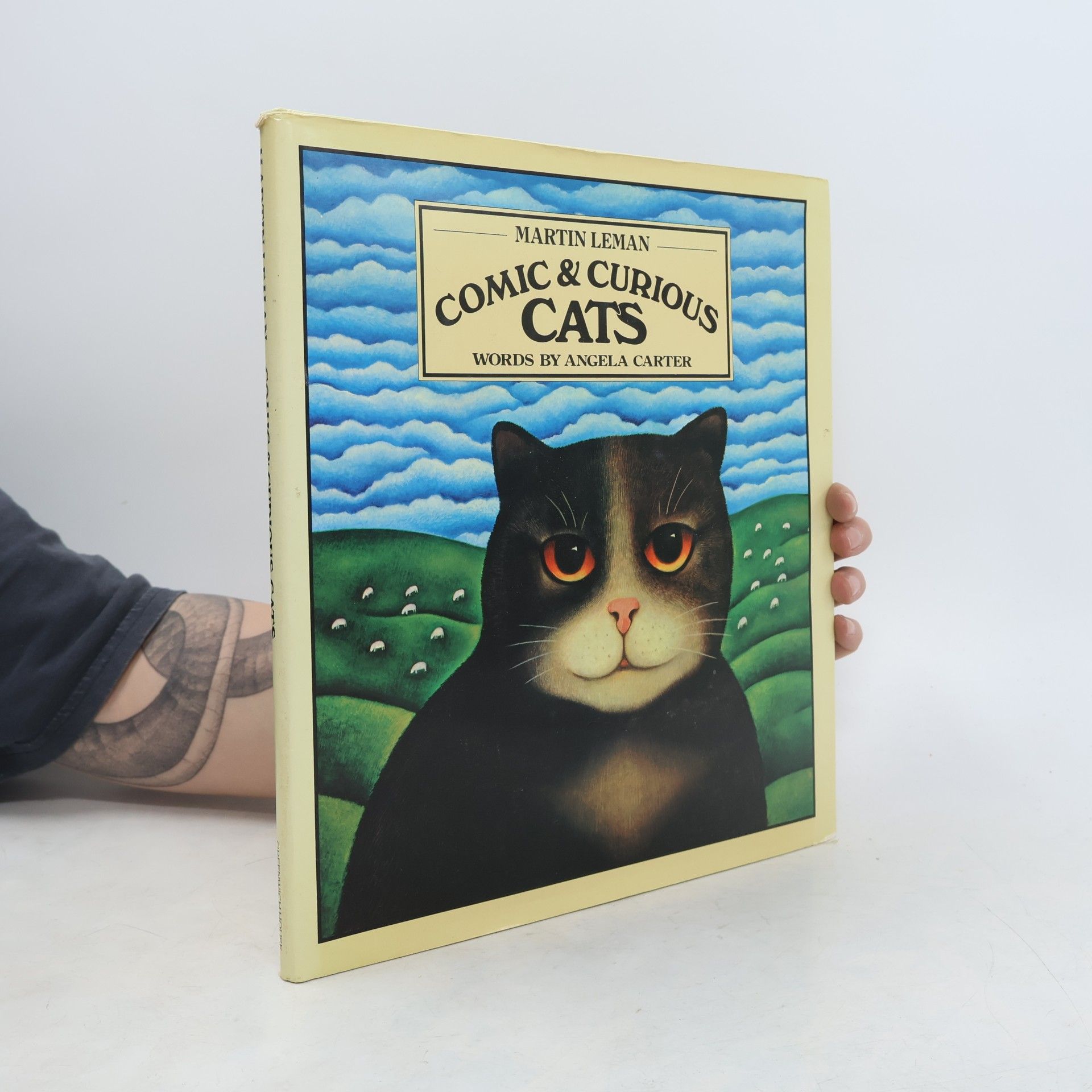 Comic And Curious Cats