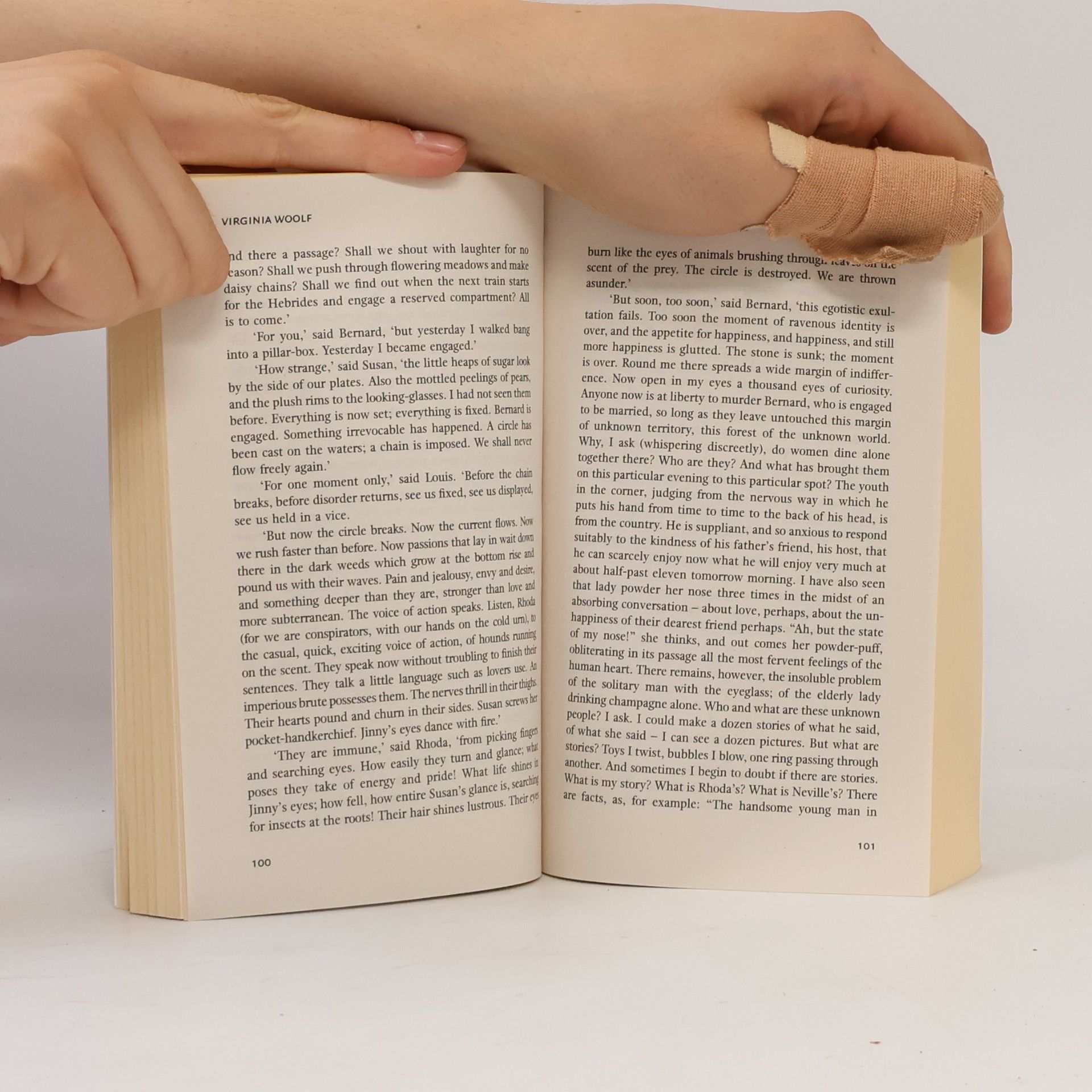 Virginia Woolf The Waves