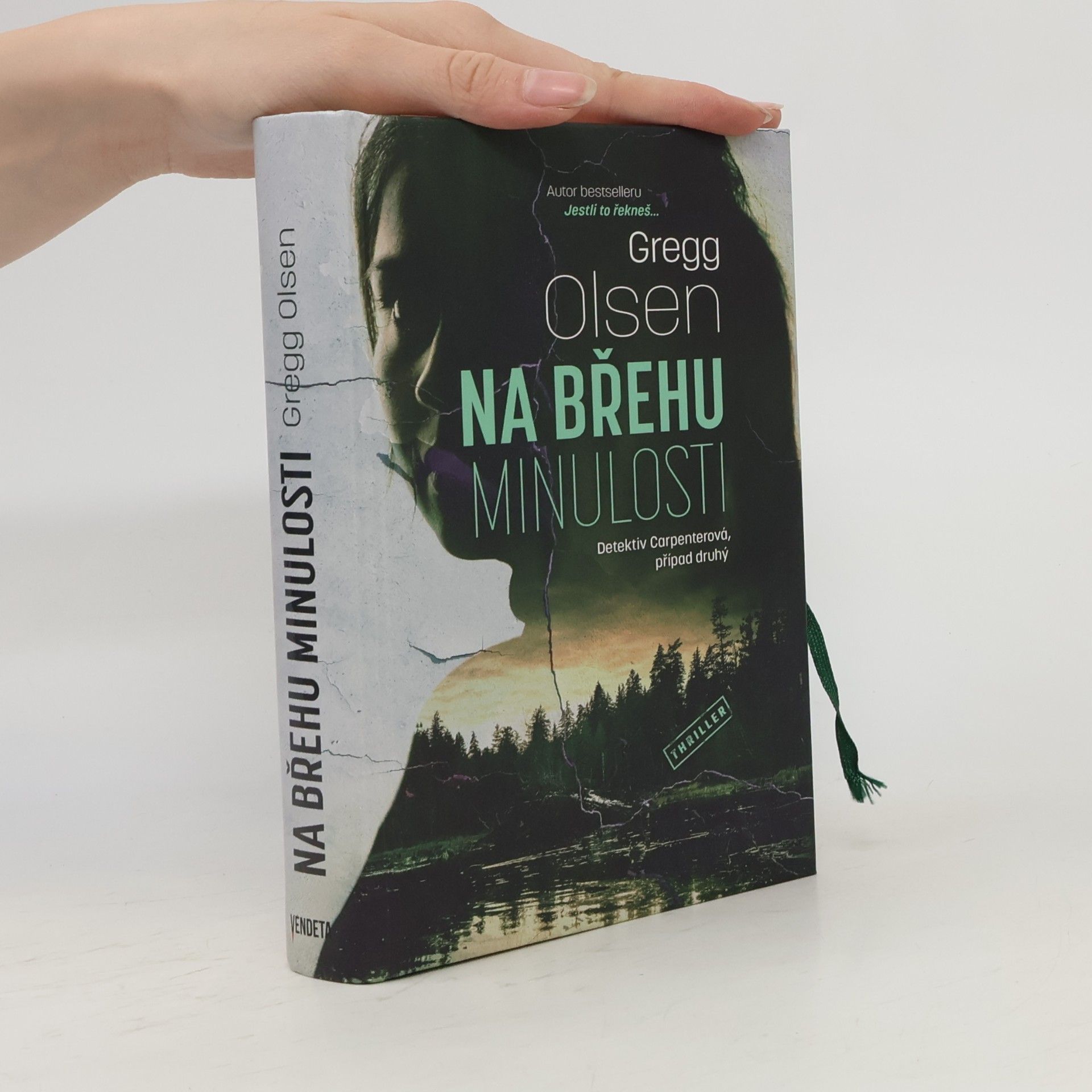 Gregg Olsen Na břehu minulosti