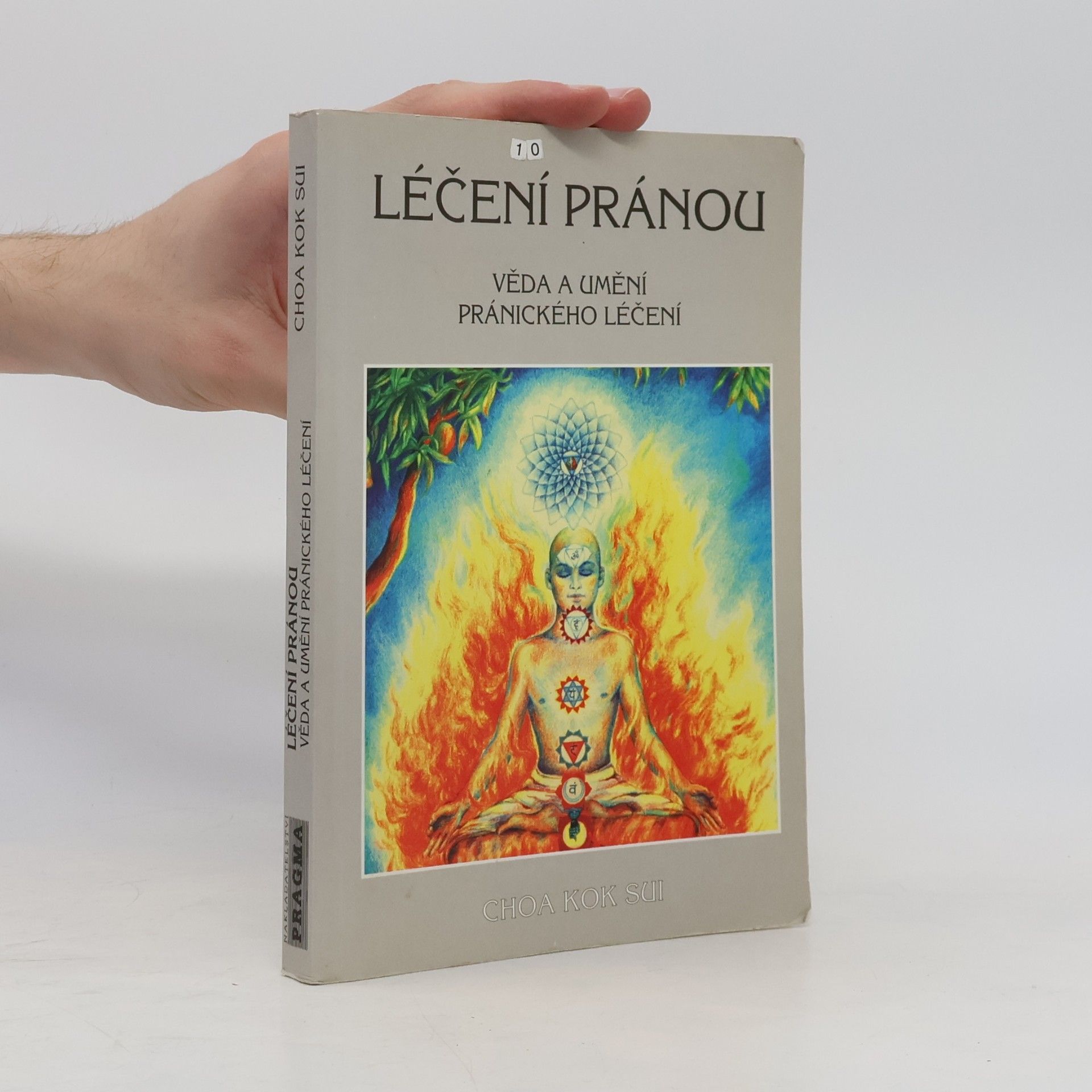 Ivan Prokeš Léčení pránou: Věda a umění pránického léčení