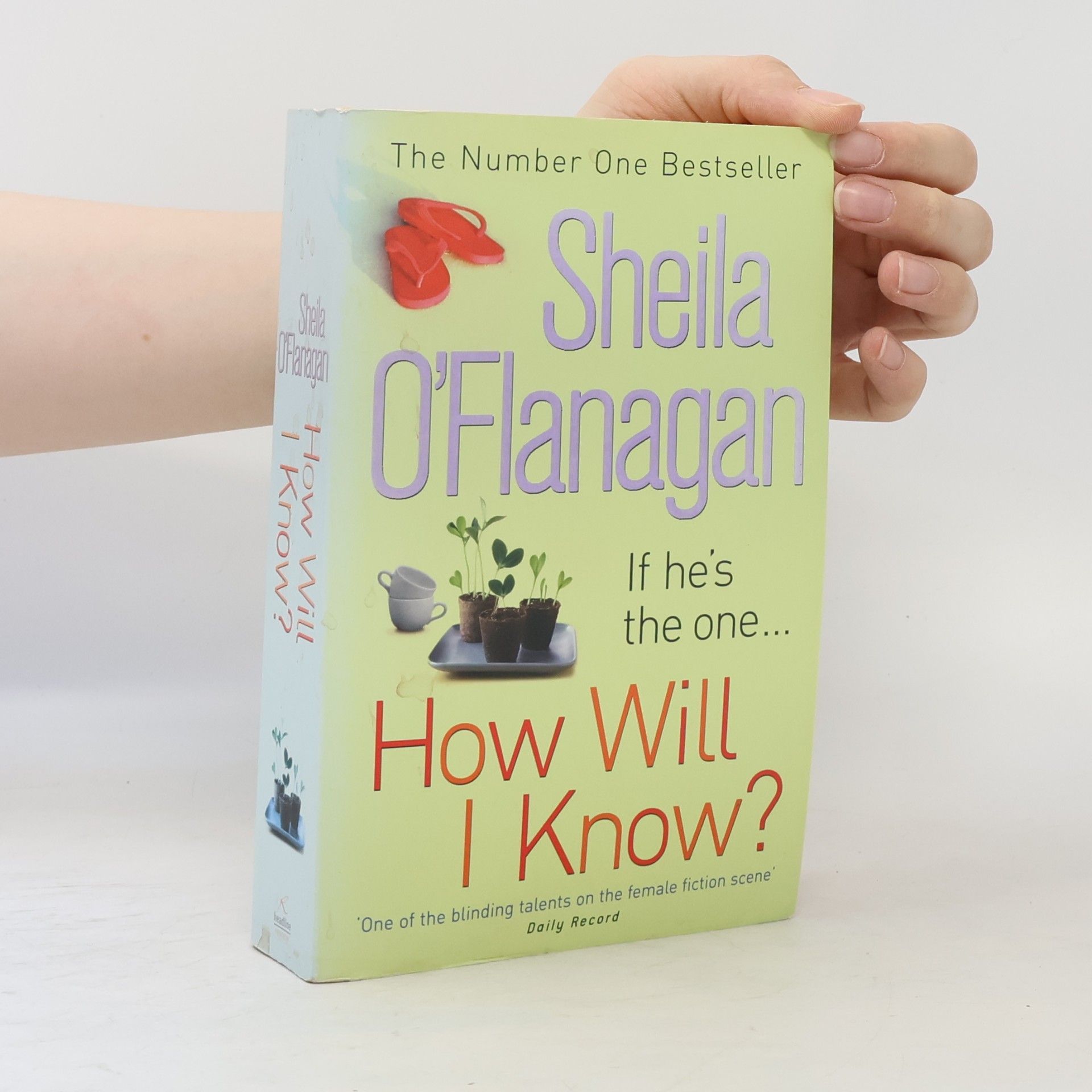 Sheila O’Flanagan How will I know?