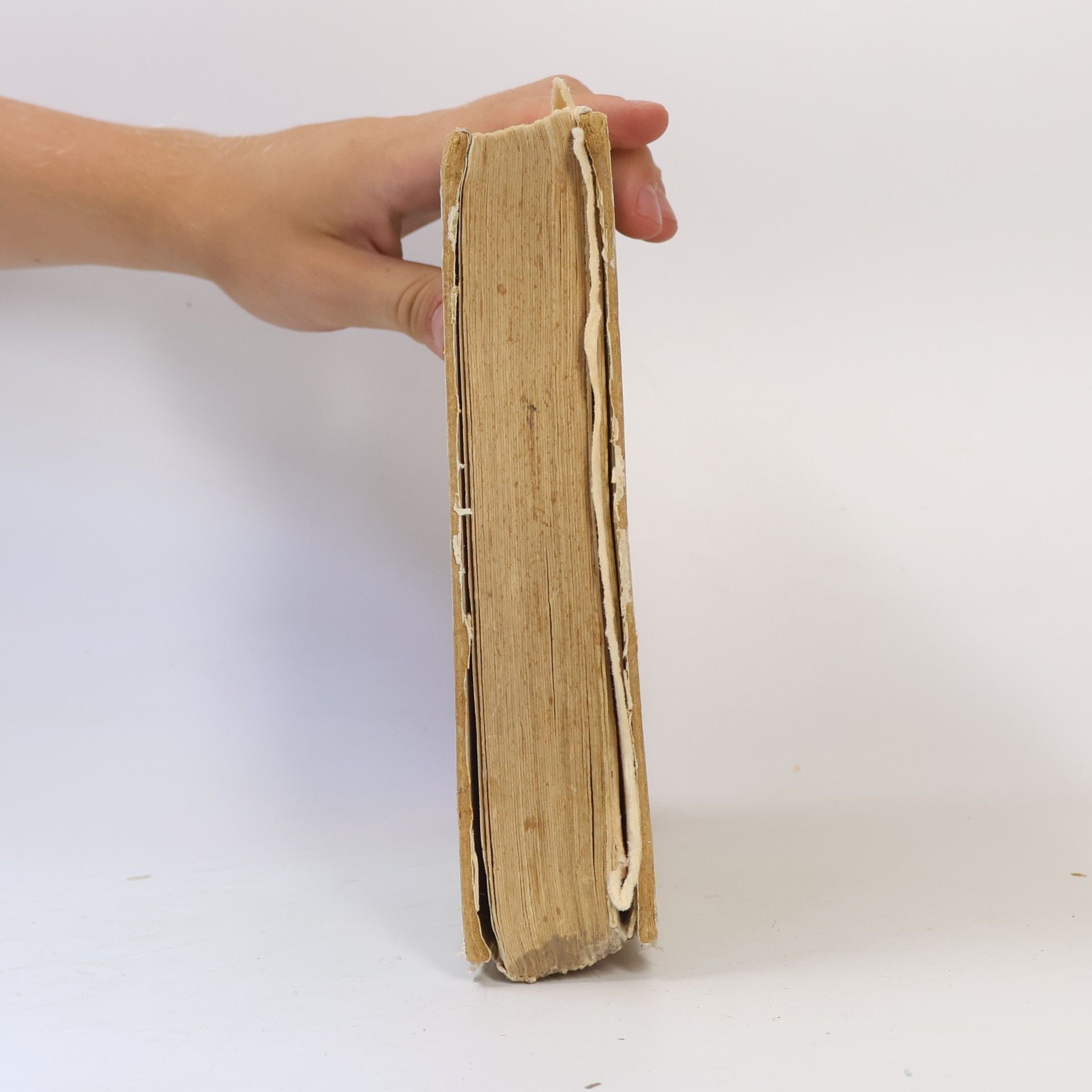 Ilse Prüfer Viel Spaß hat dran wer lesen kann
