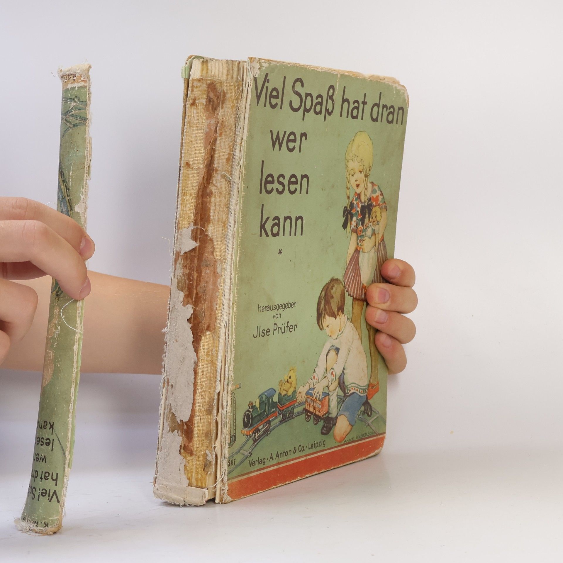 Ilse Prüfer Viel Spaß hat dran wer lesen kann