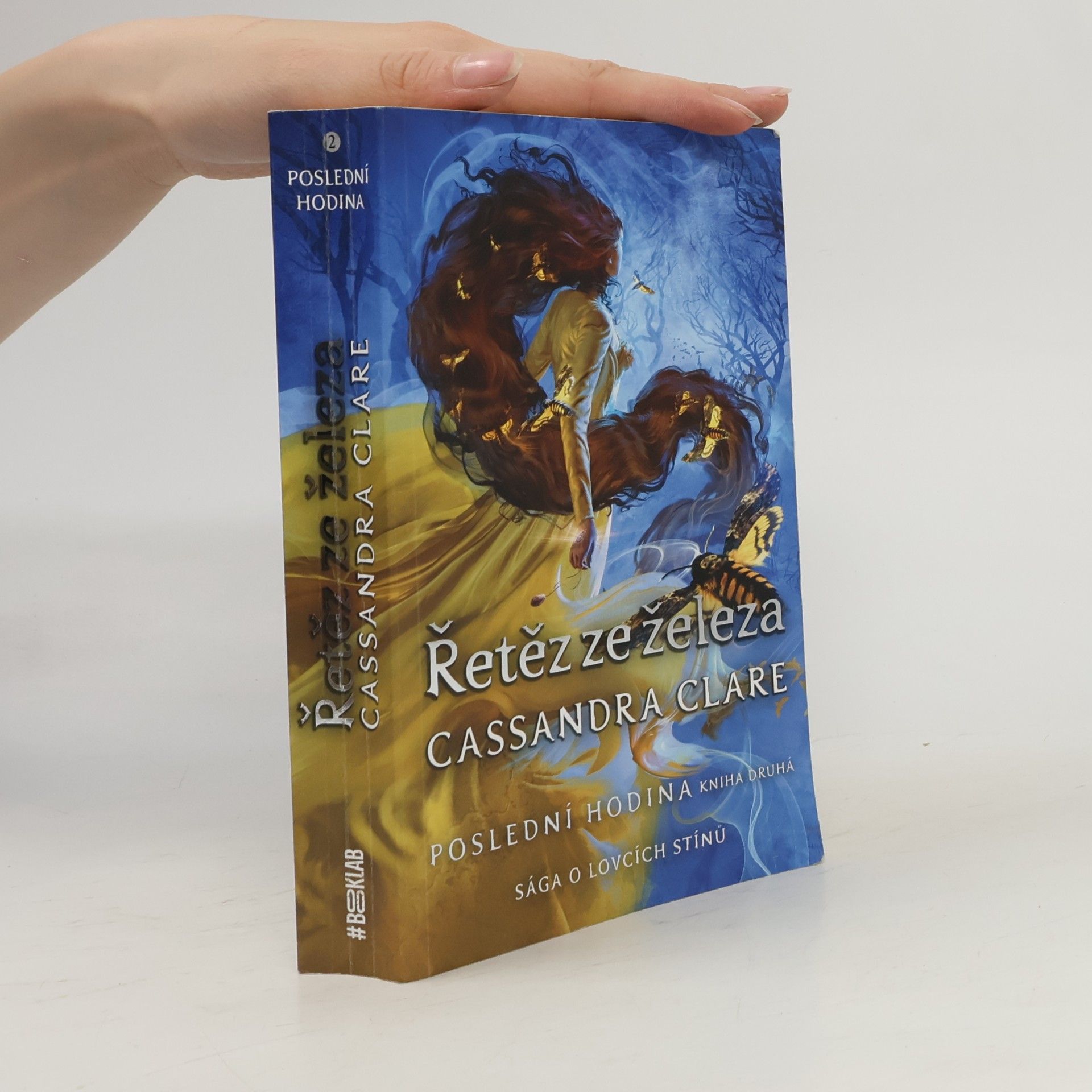 Cassandra Clare Poslední hodina. Kniha druhá, Řetěz ze železa