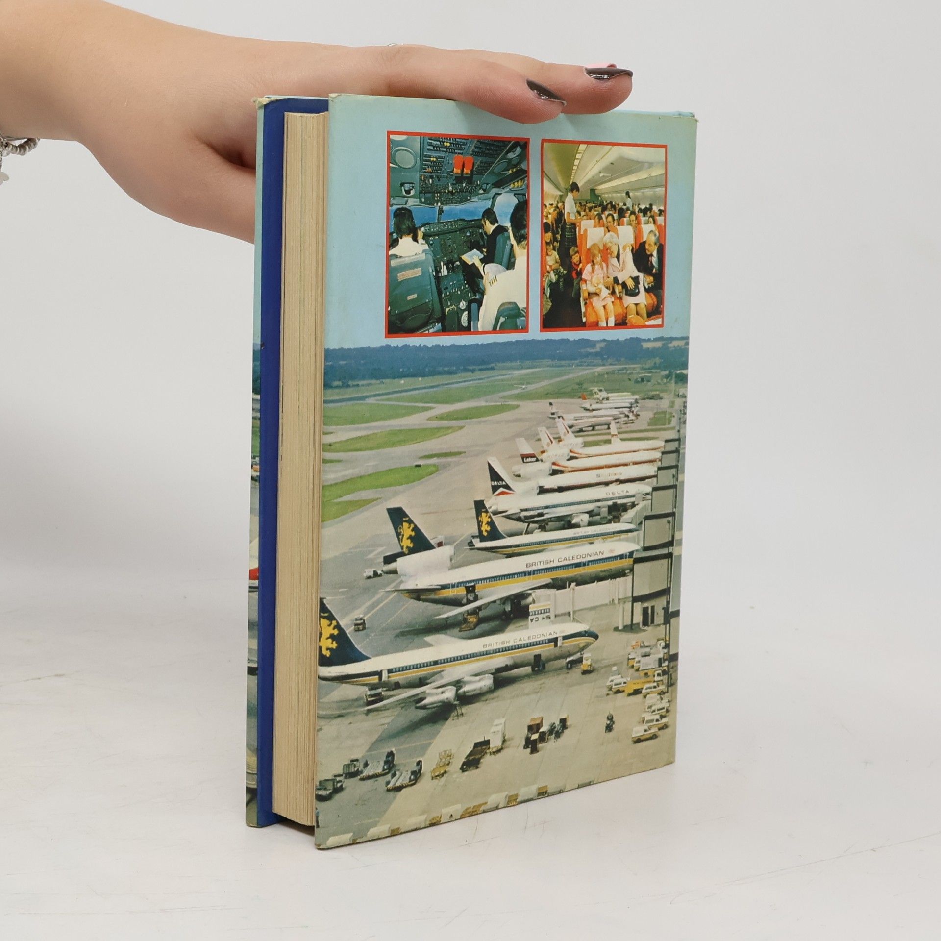 Brian Walters The Young Air Traveller's Handbook