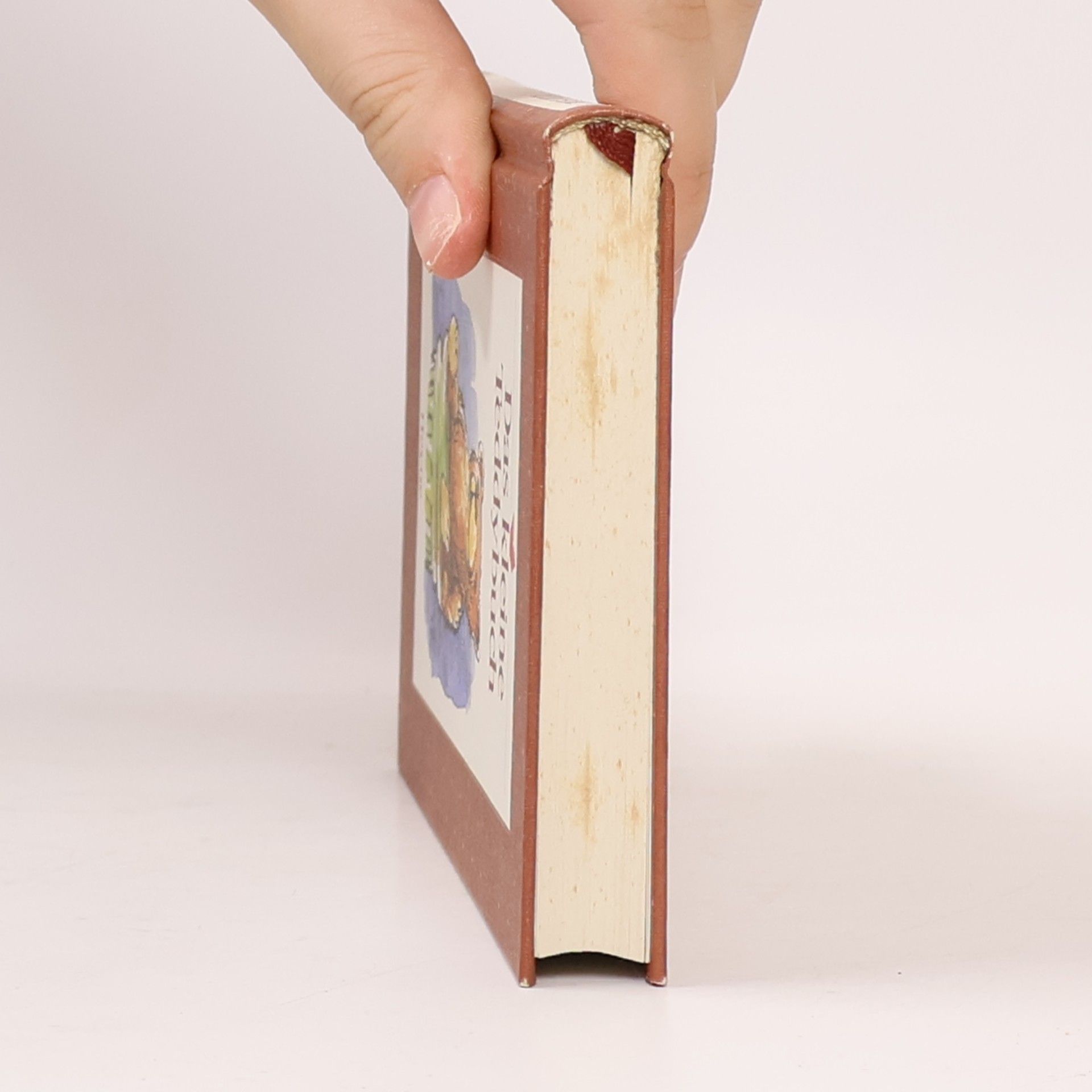 Das kleine Teddybuch