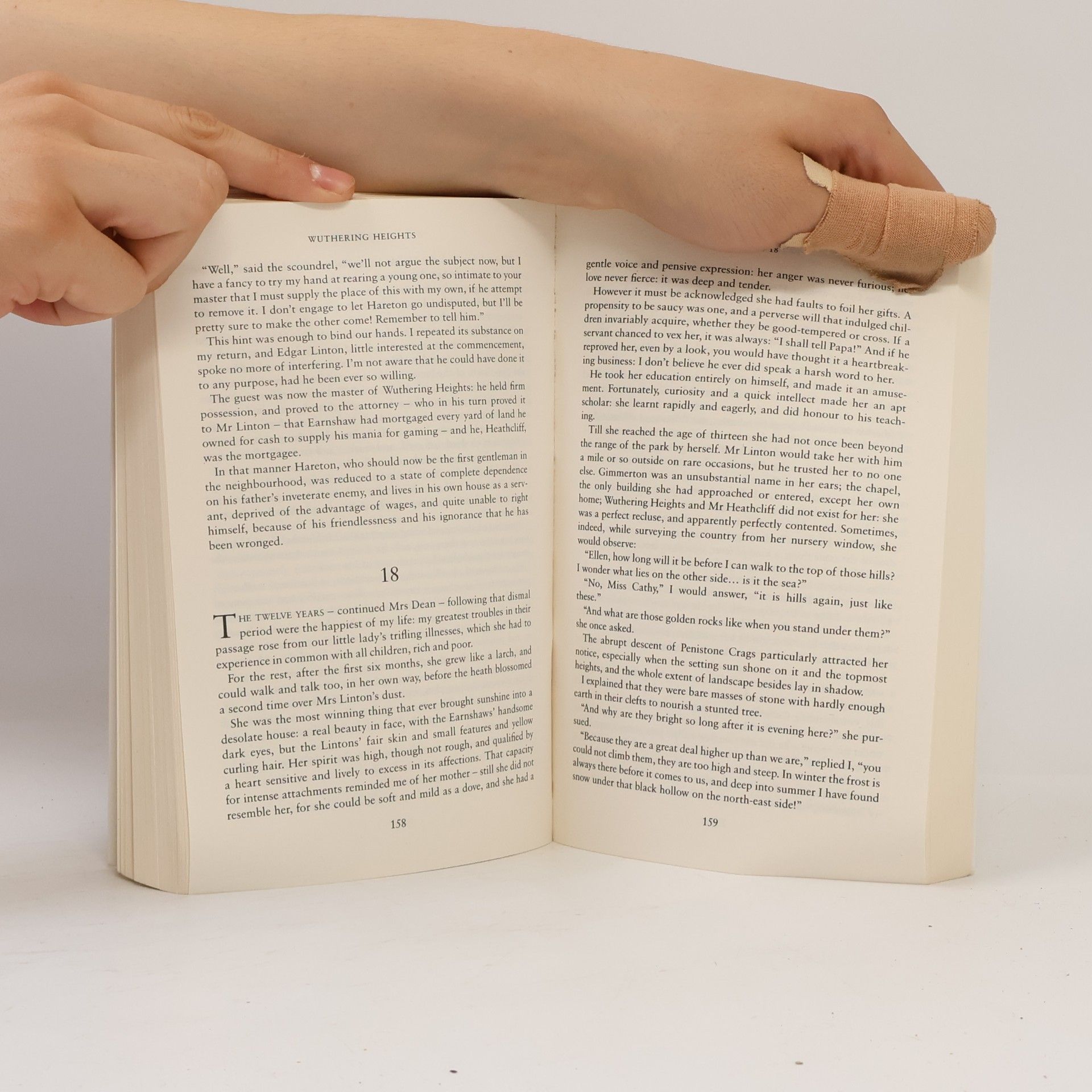Emily Brontë Wuthering Heights