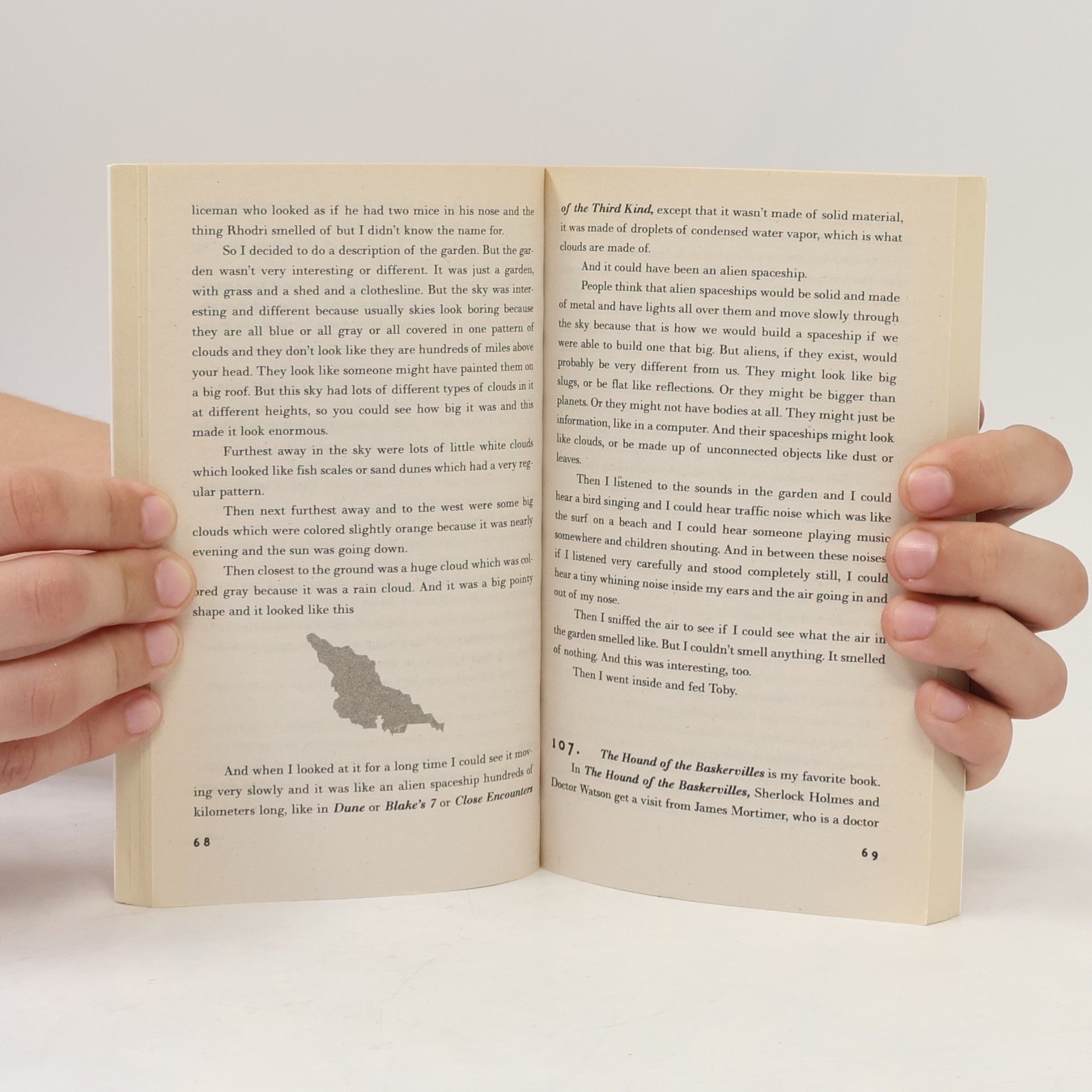 Mark Haddon The curious incident of the dog in the night-time