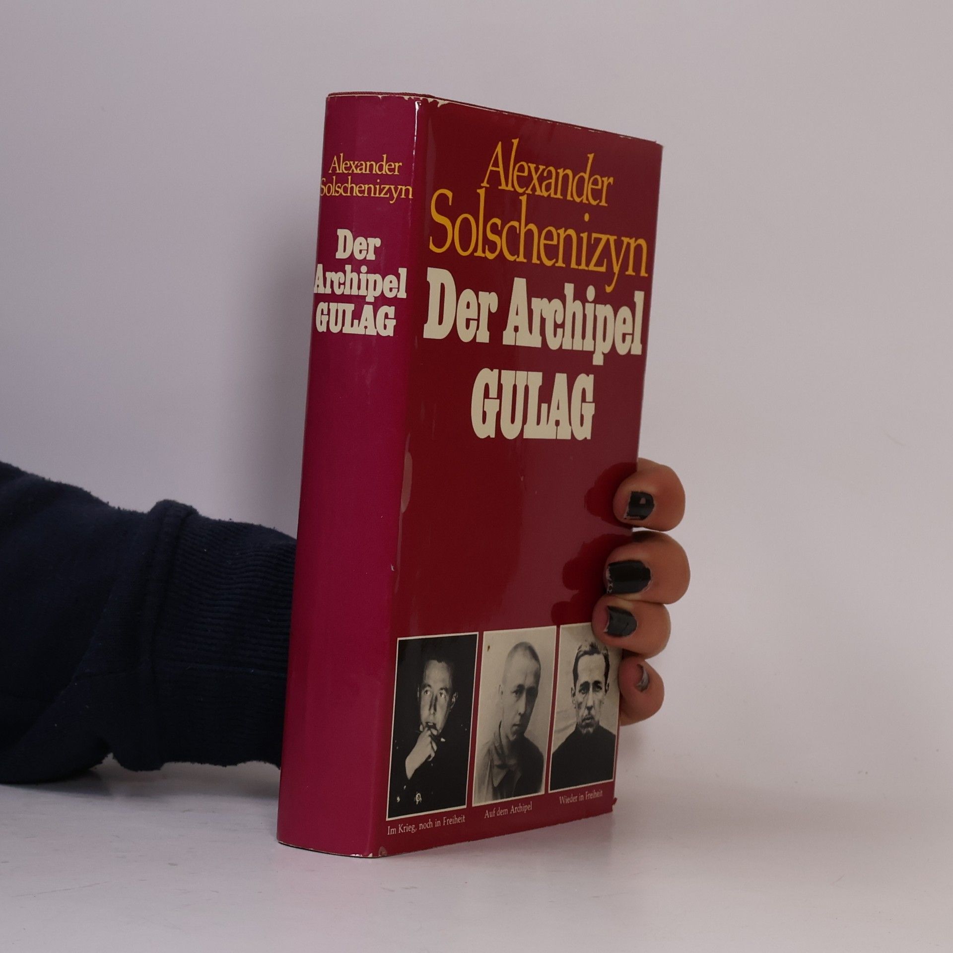 Aleksandr Solzhenitsyn Der Archipel Gulag