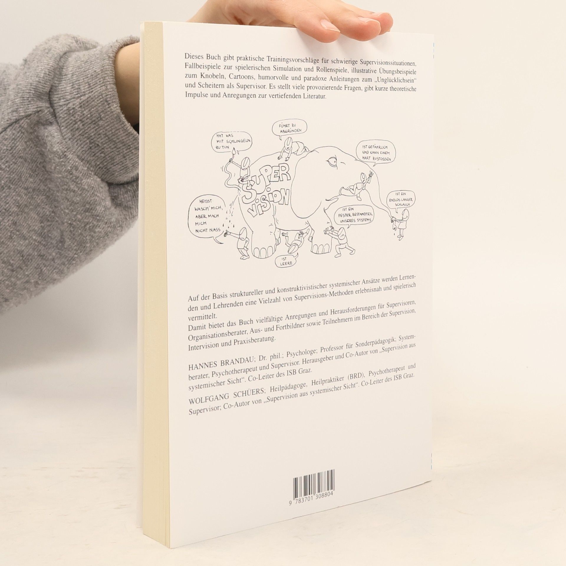 Hannes Brandau Spiel- und Übungsbuch zur Supervision
