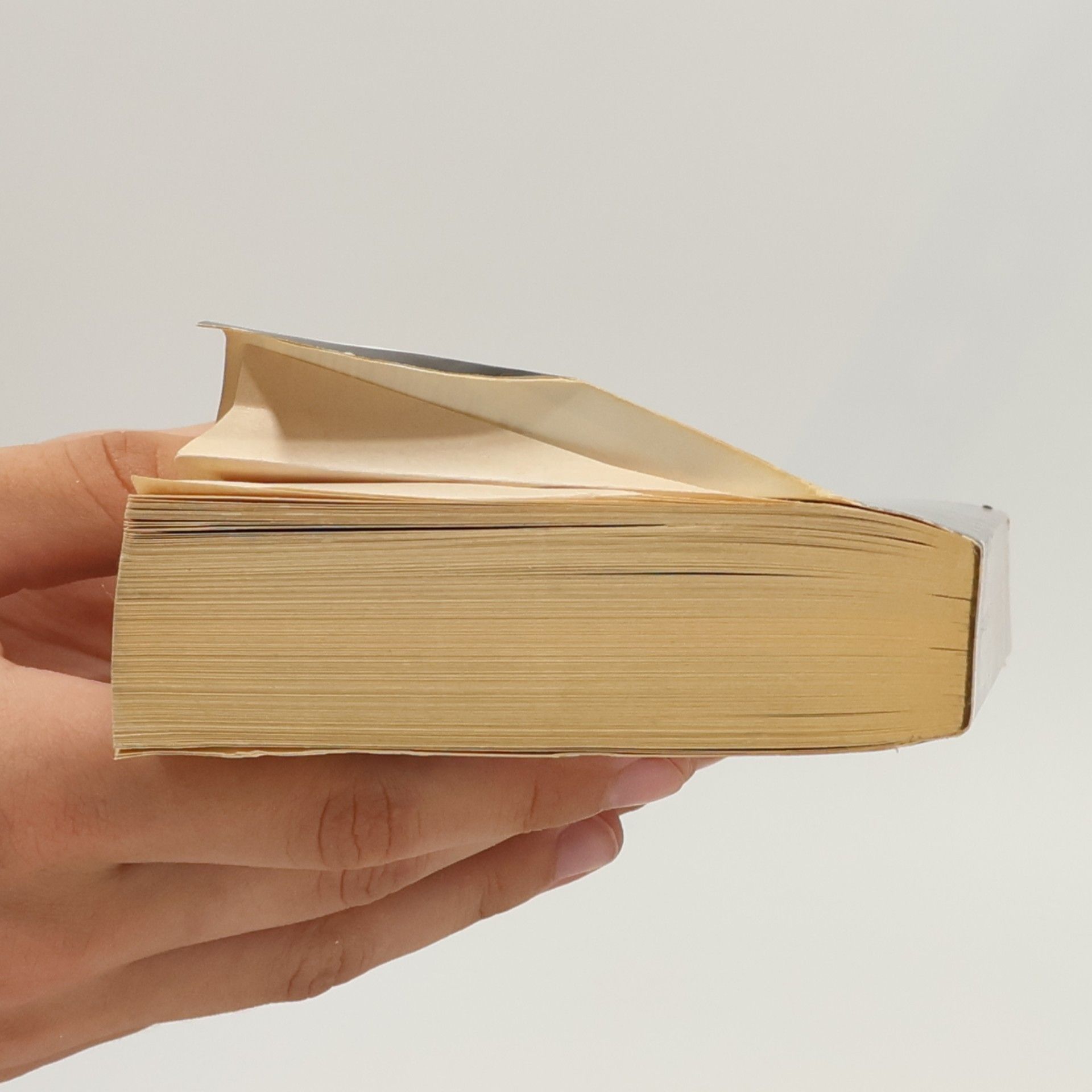 Jonathan Franzen The Corrections