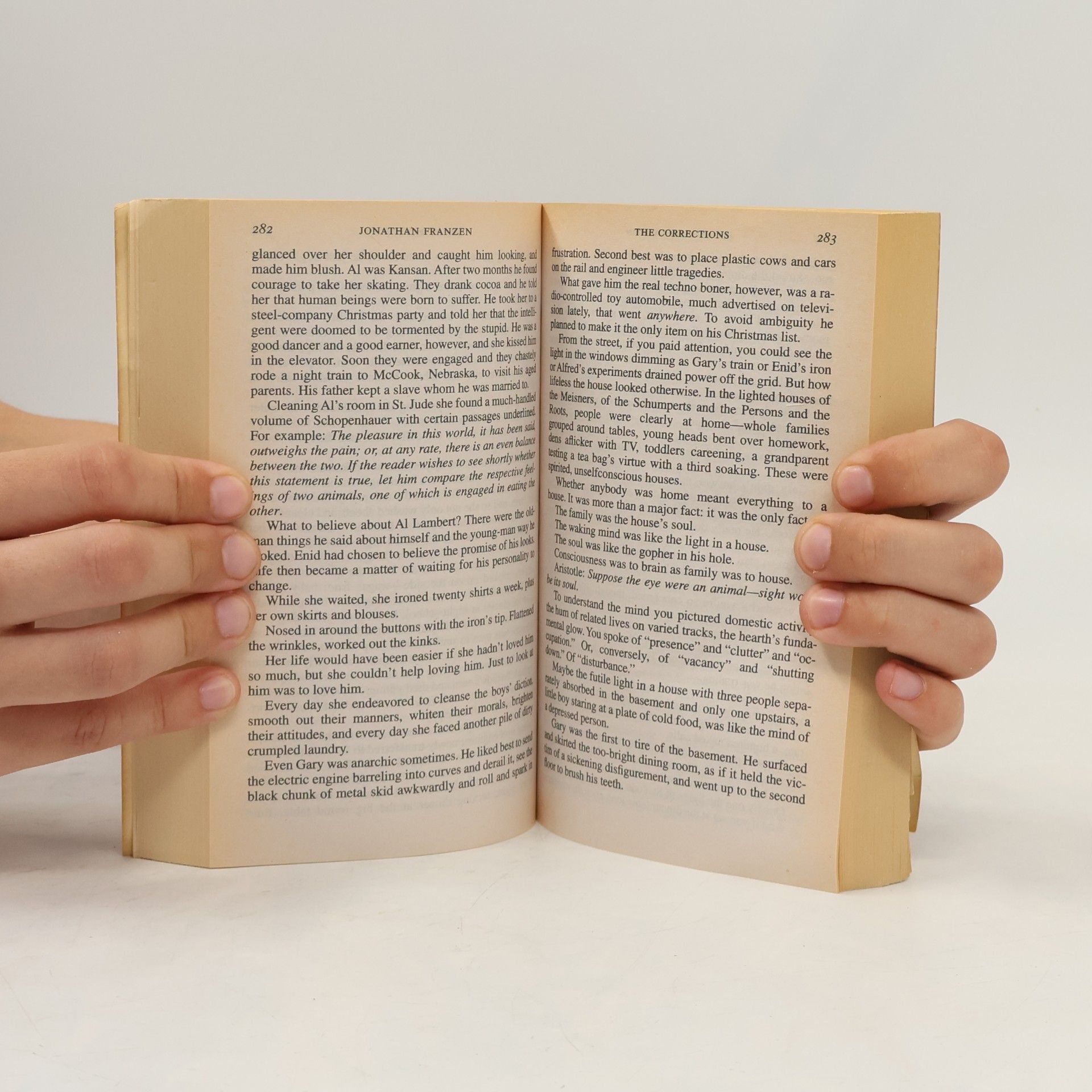 Jonathan Franzen The Corrections