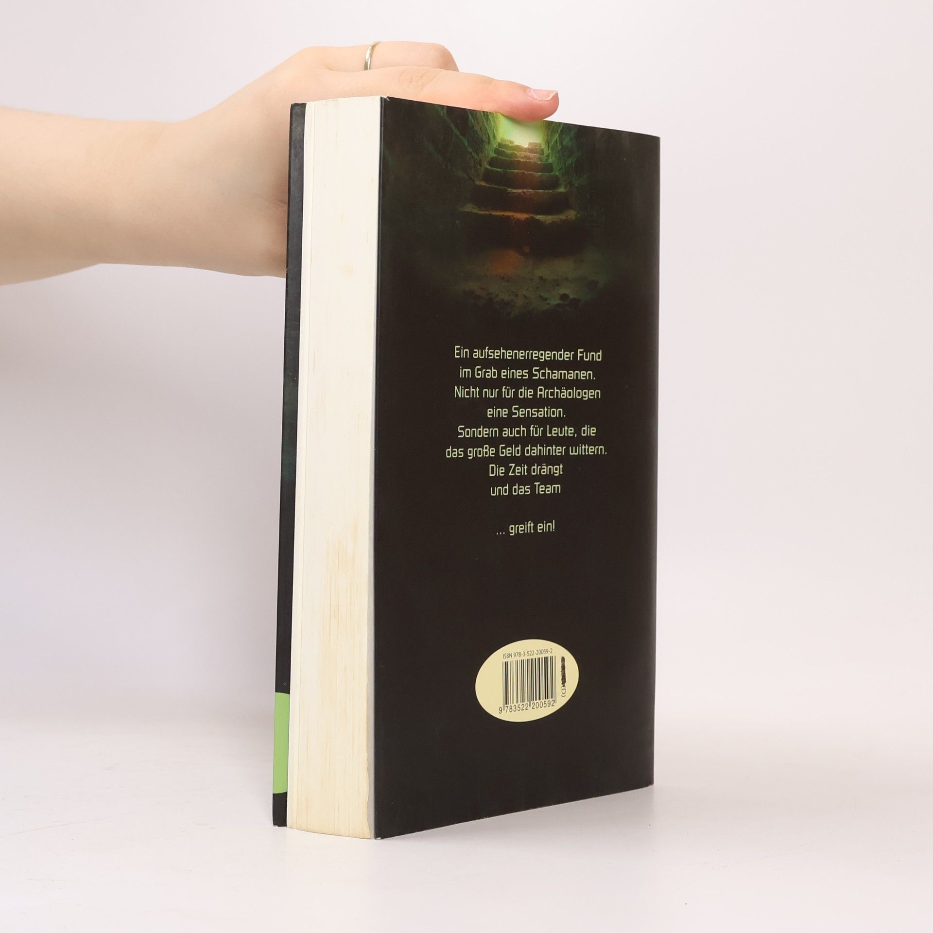 Michael Stuhr Das Team – Das Grab des Schamanen