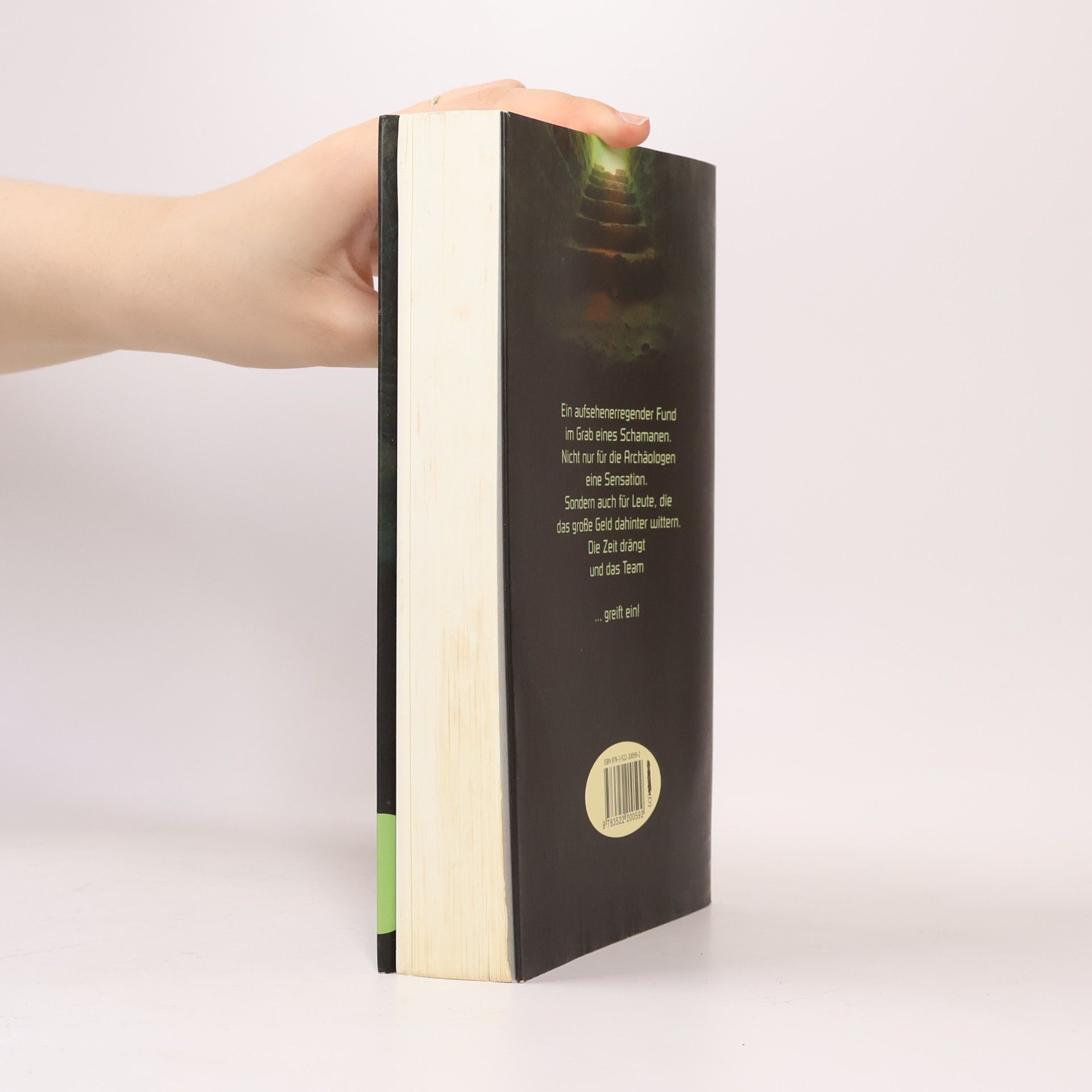 Michael Stuhr Das Team – Das Grab des Schamanen