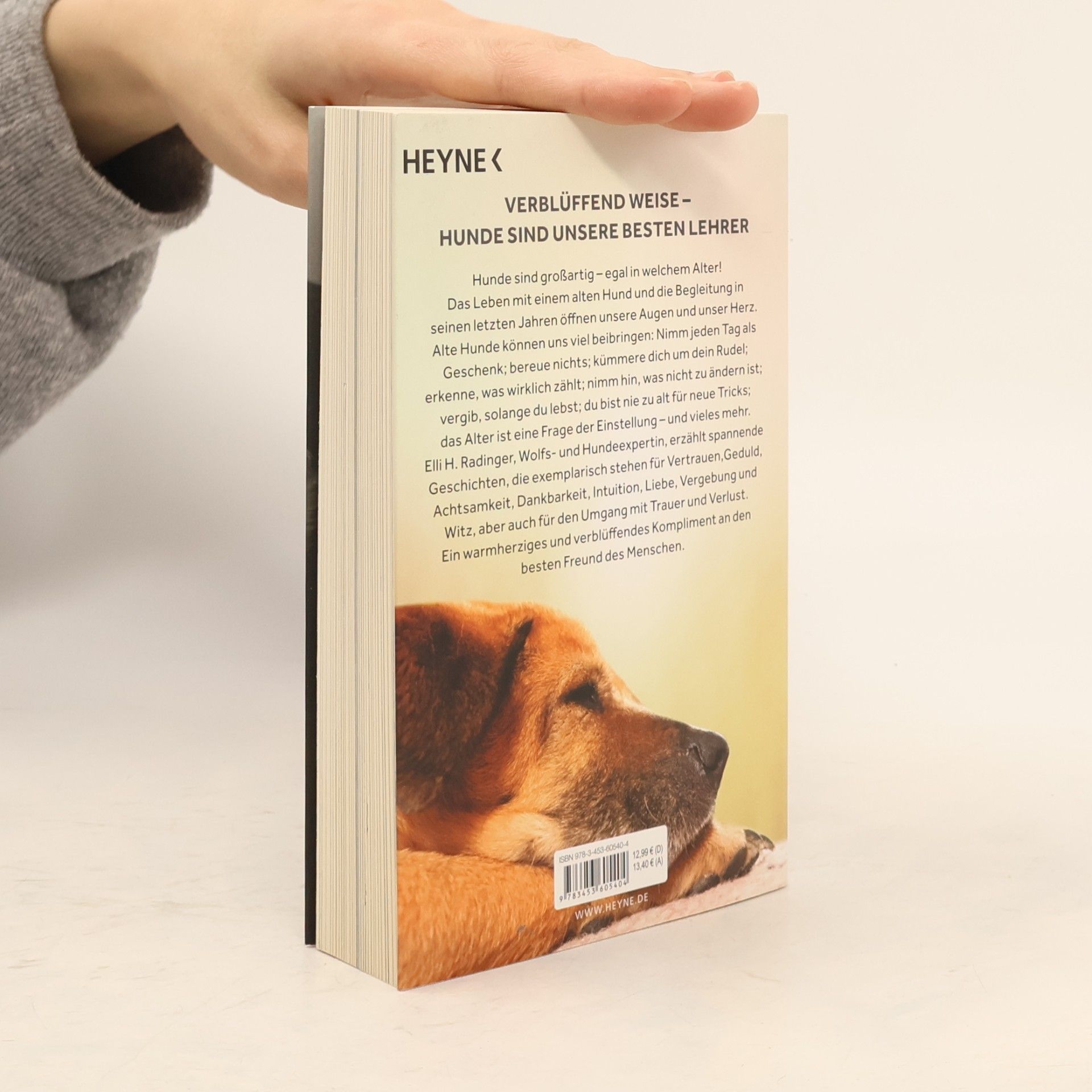 Elli H. Radinger Die Weisheit alter Hunde