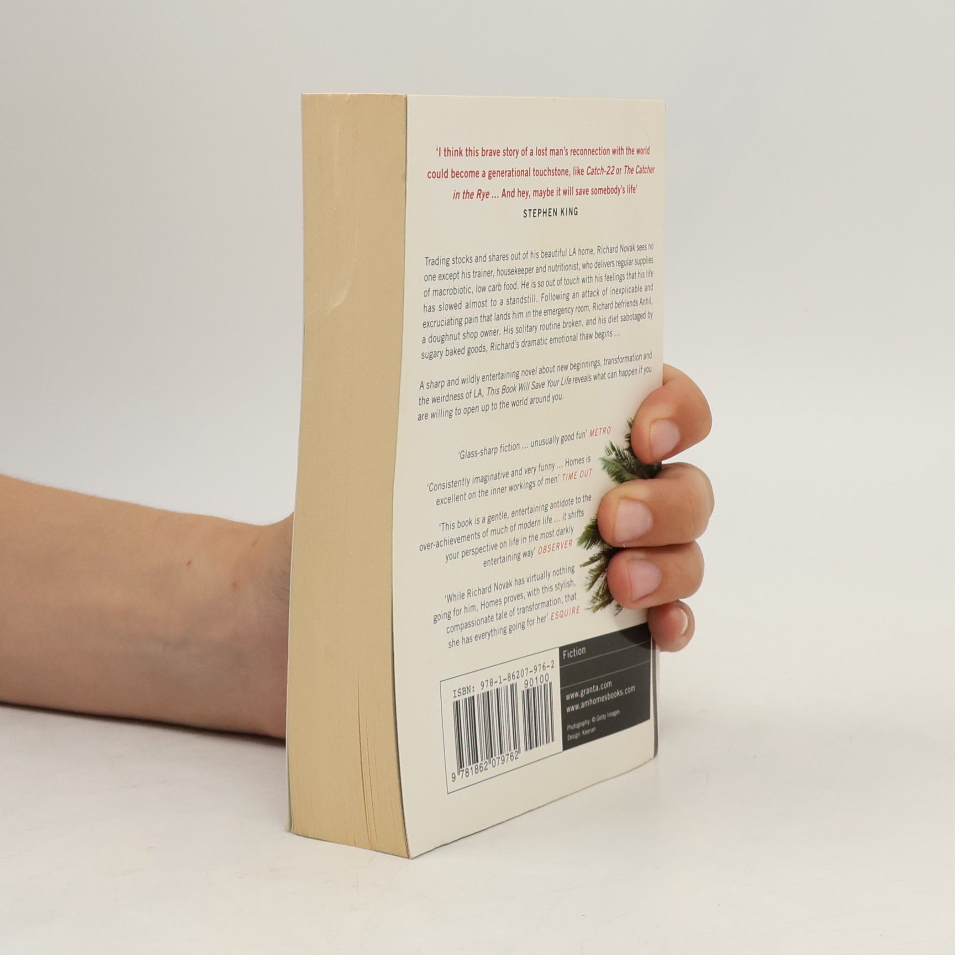 A. M. Homes This Book Will Save Your Life
