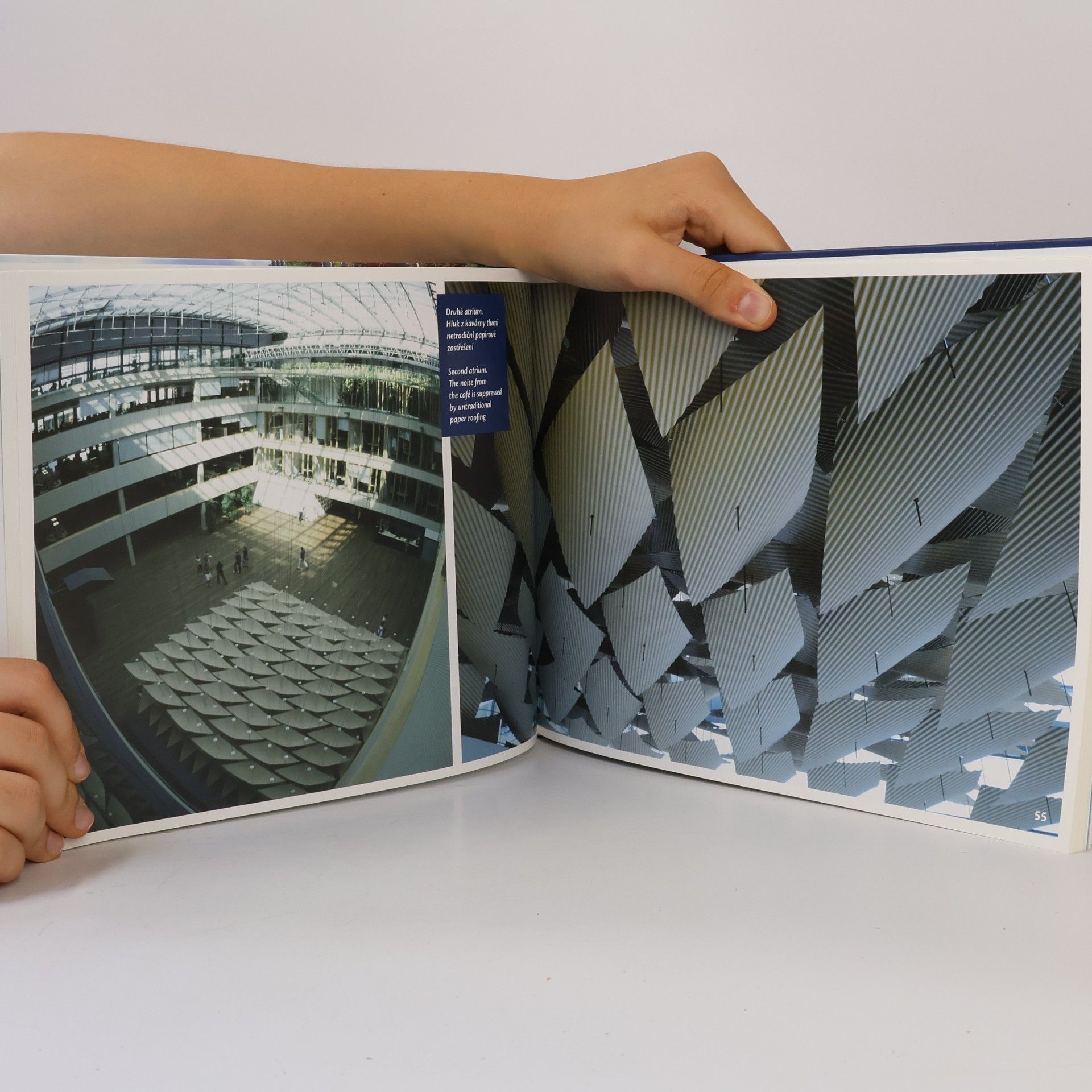 Ivana Šárová Banka se zelenou střechou / Green-roofed bank