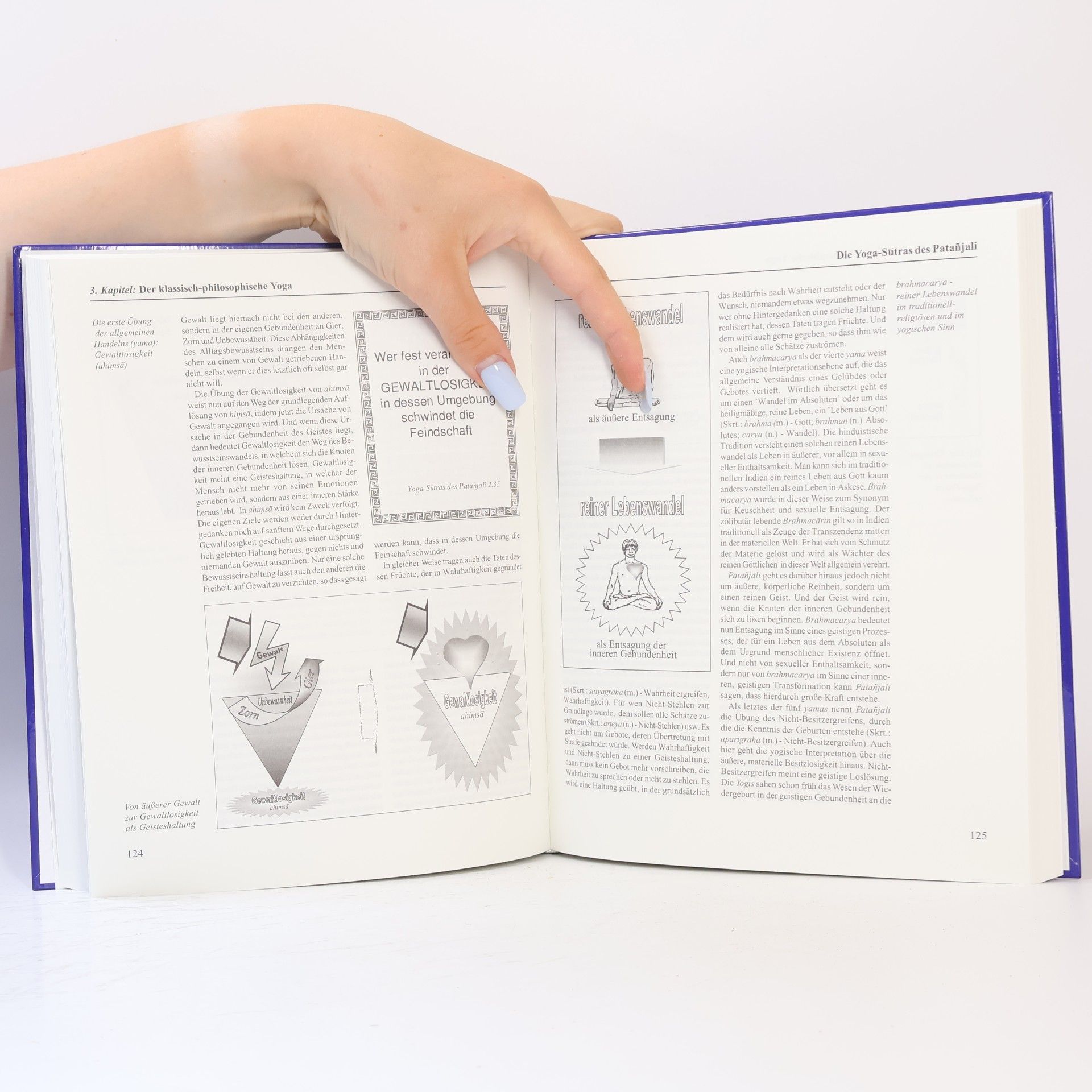 Eckard Wolz-Gottwald Yoga-Philosophie-Atlas