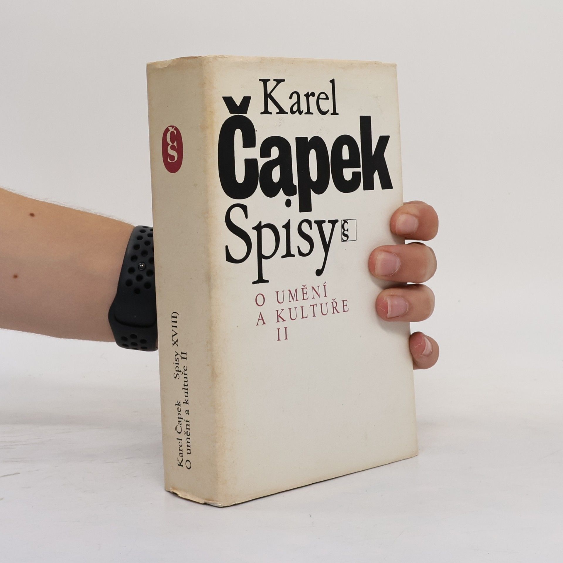 Spisy XVIII. O umění a kultuře II.