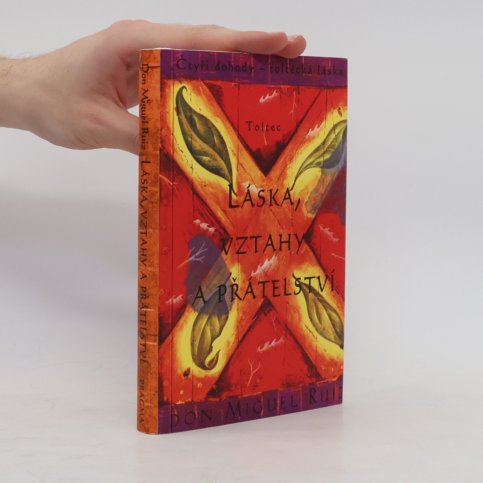 Don Miguel Ruiz Láska, vztahy a přátelství
