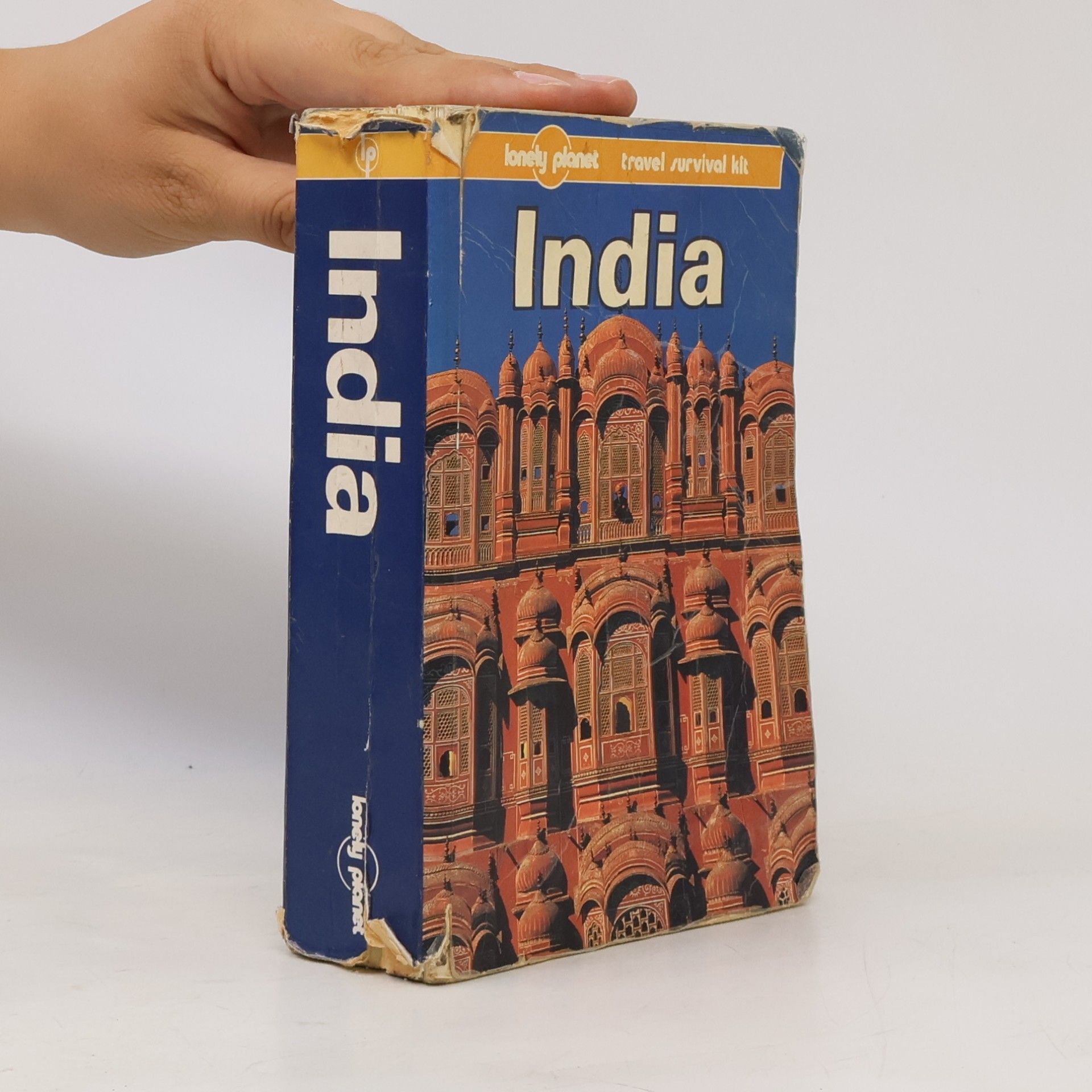 India : a travel survival kit