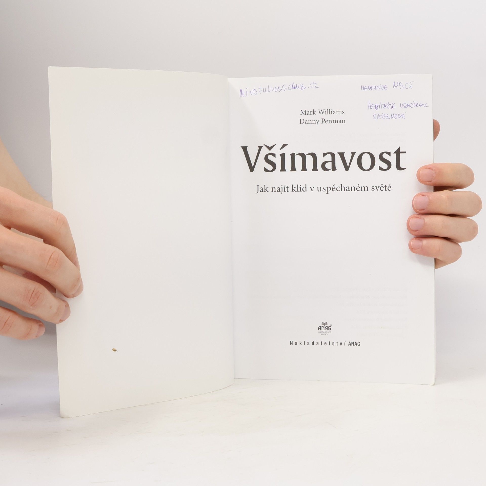 Mark Williams Všímavost. Jak najít klid v uspěchaném světě