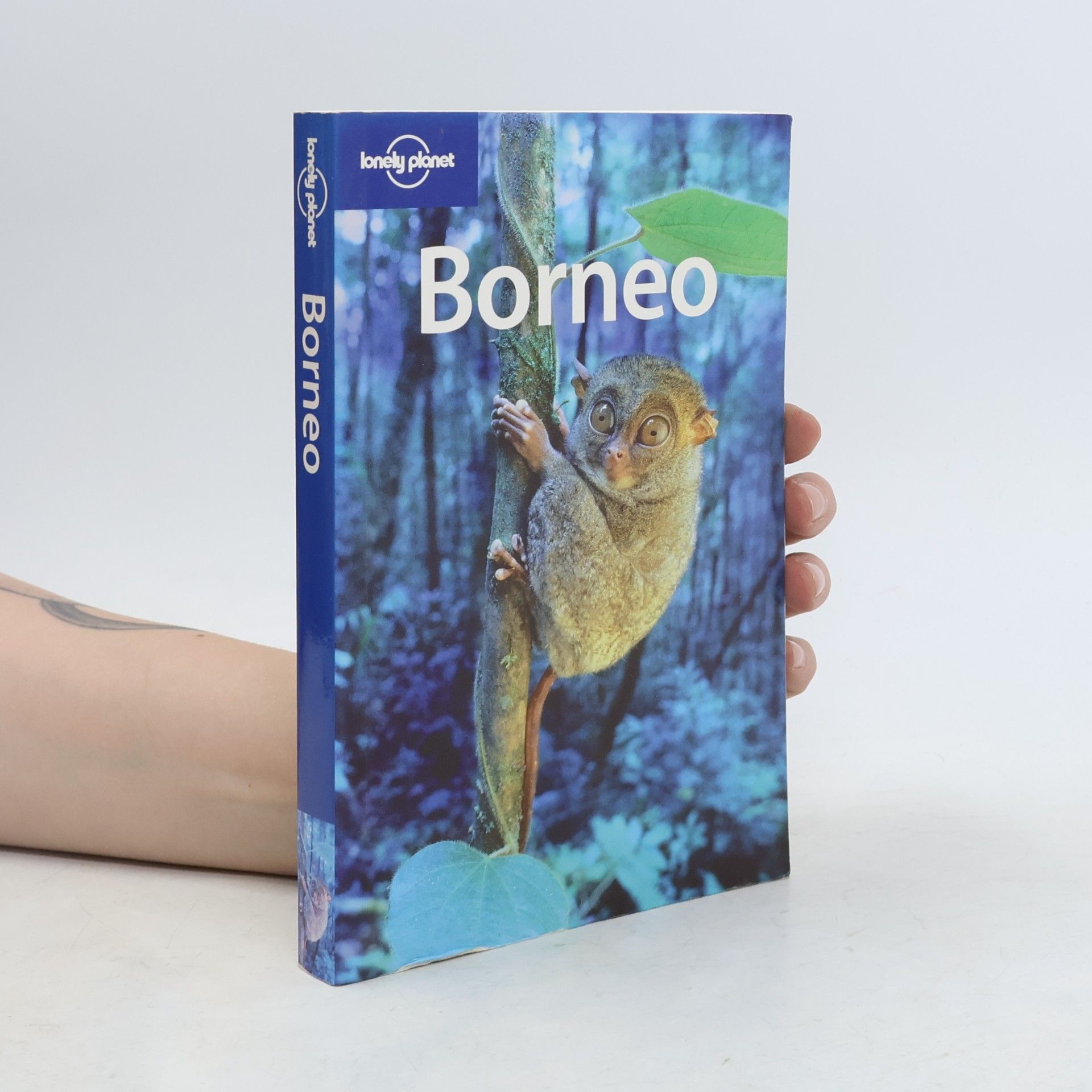 Muhammad Cohen Borneo